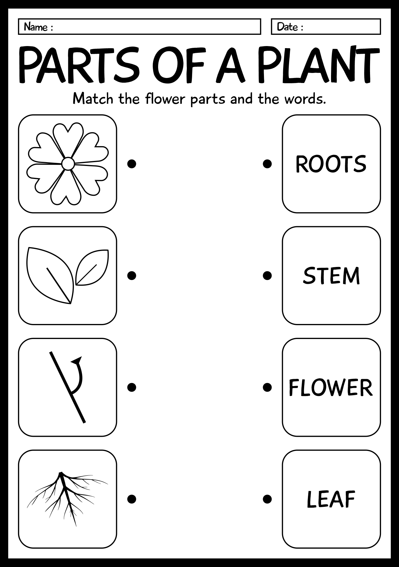 13 1st Grade Life Science Worksheets Free PDF At Worksheeto