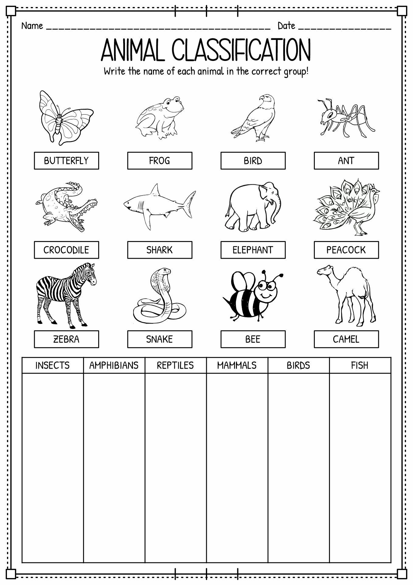 15 Engaging Animal Classification Worksheets For Preschoolers