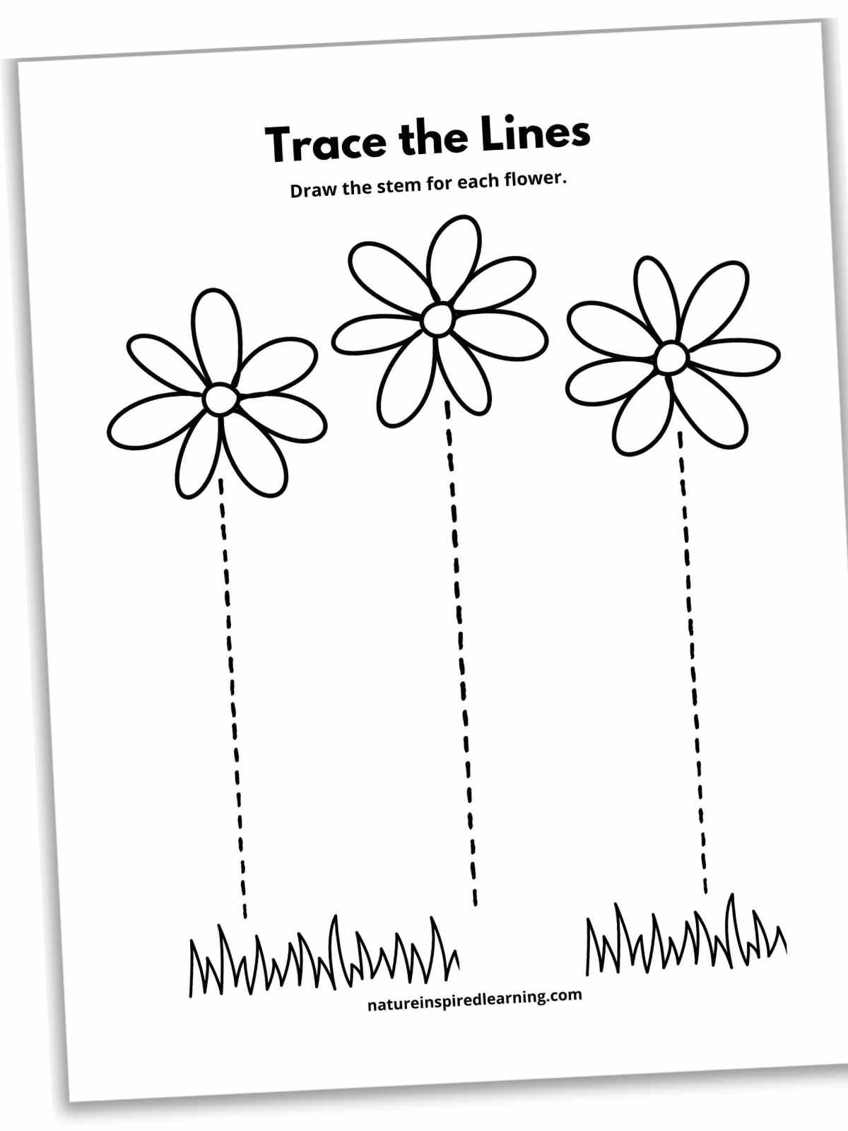 17 Line Tracing Worksheets Free Nature Inspired Learning 17 Line Tracing Worksheets Free Nature Inspired Learning