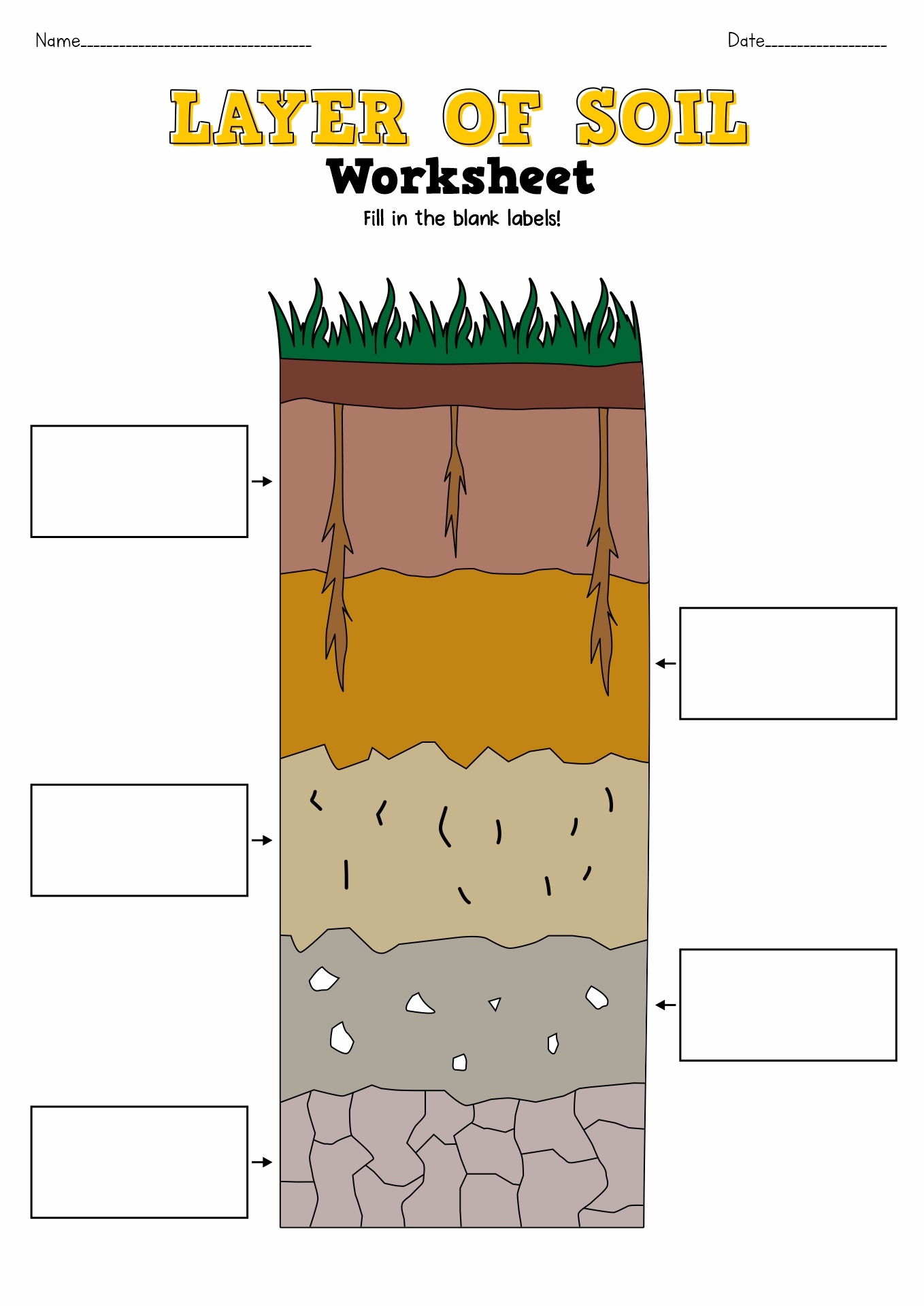 18 Soil Worksheets For 3rd Grade Free PDF At Worksheeto