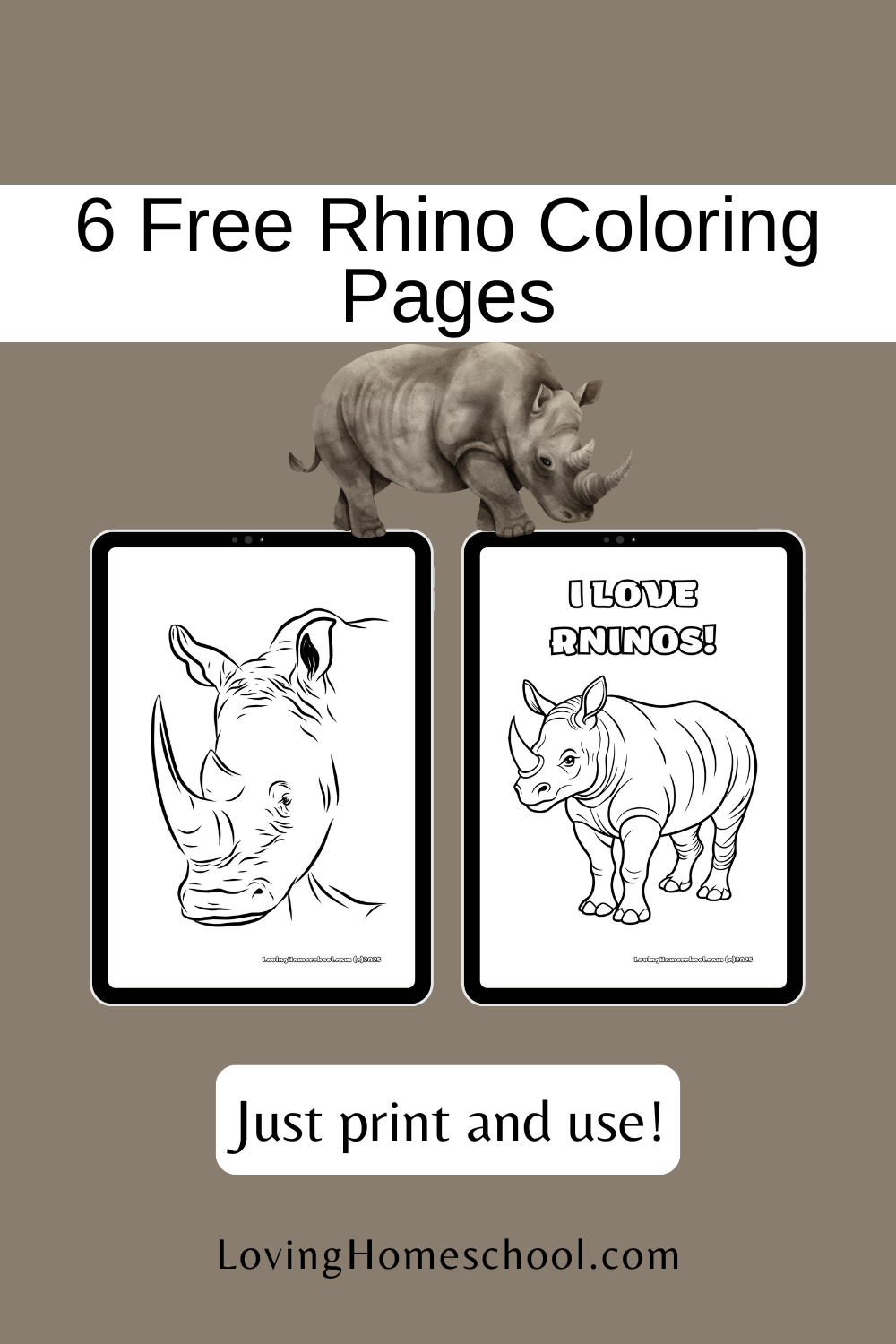 6 Rhino Coloring Pages LovingHomeschool