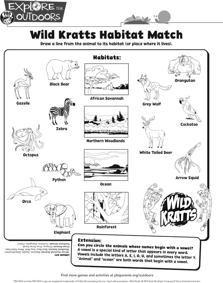 8 Activity Sheets Wild Kratts Ideas Wild Kratts Activity Sheets Wild Kratts Birthday