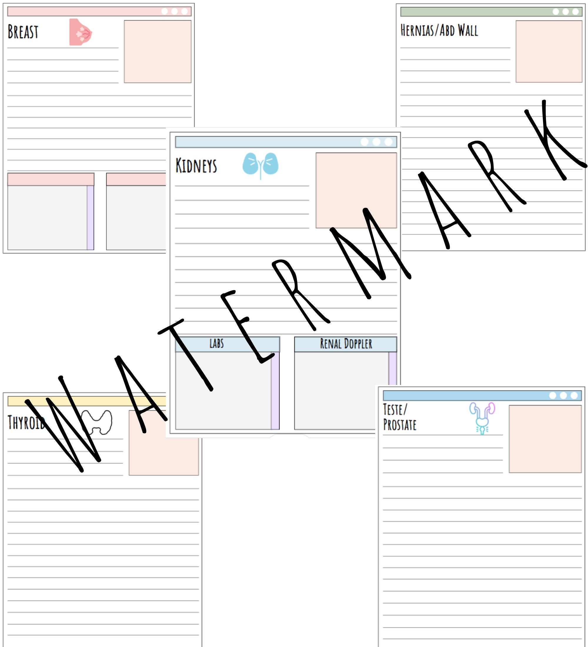 Free Printable Ultrasound Worksheets Prostate