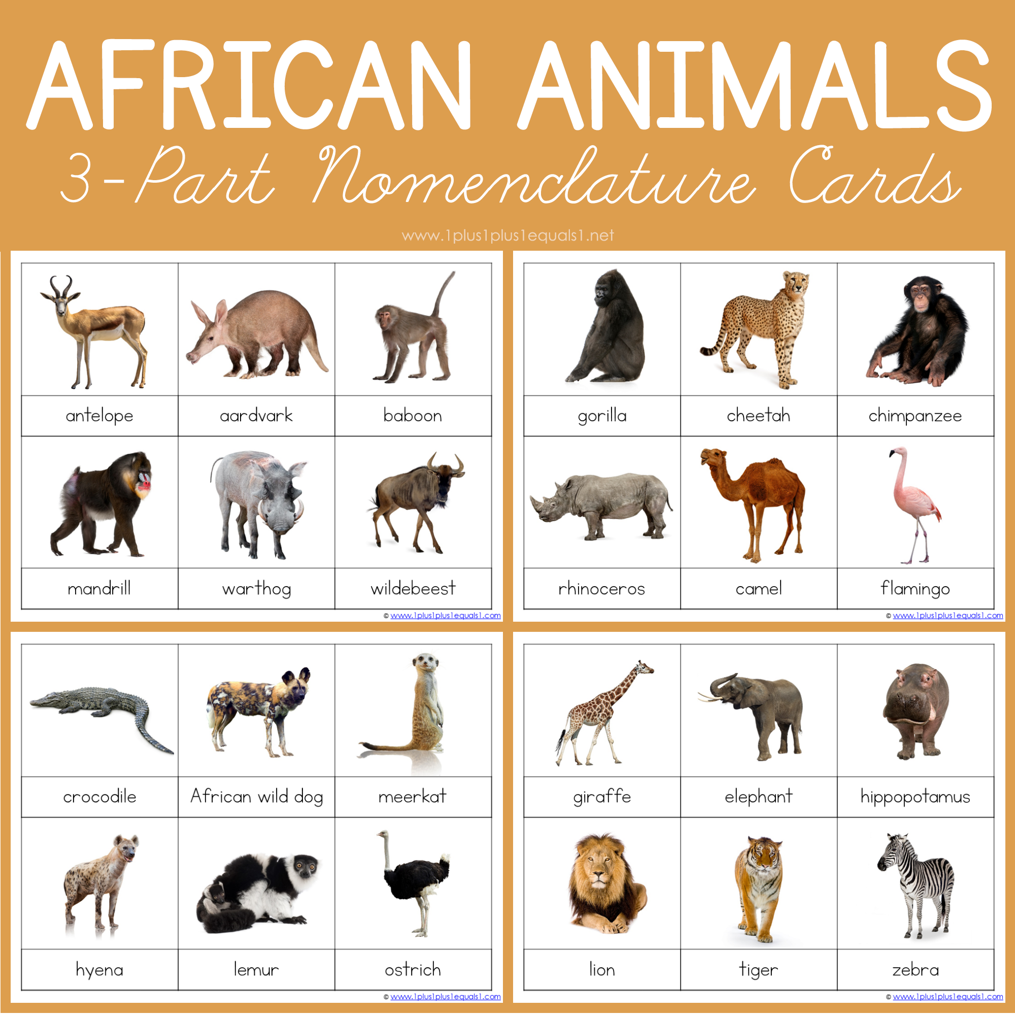 African Animals Montessori Printables FREE 3 Part Cards 1 1 1u003d1 African Animals Montessori Printables FREE 3 Part Cards 1 1 1u003d1