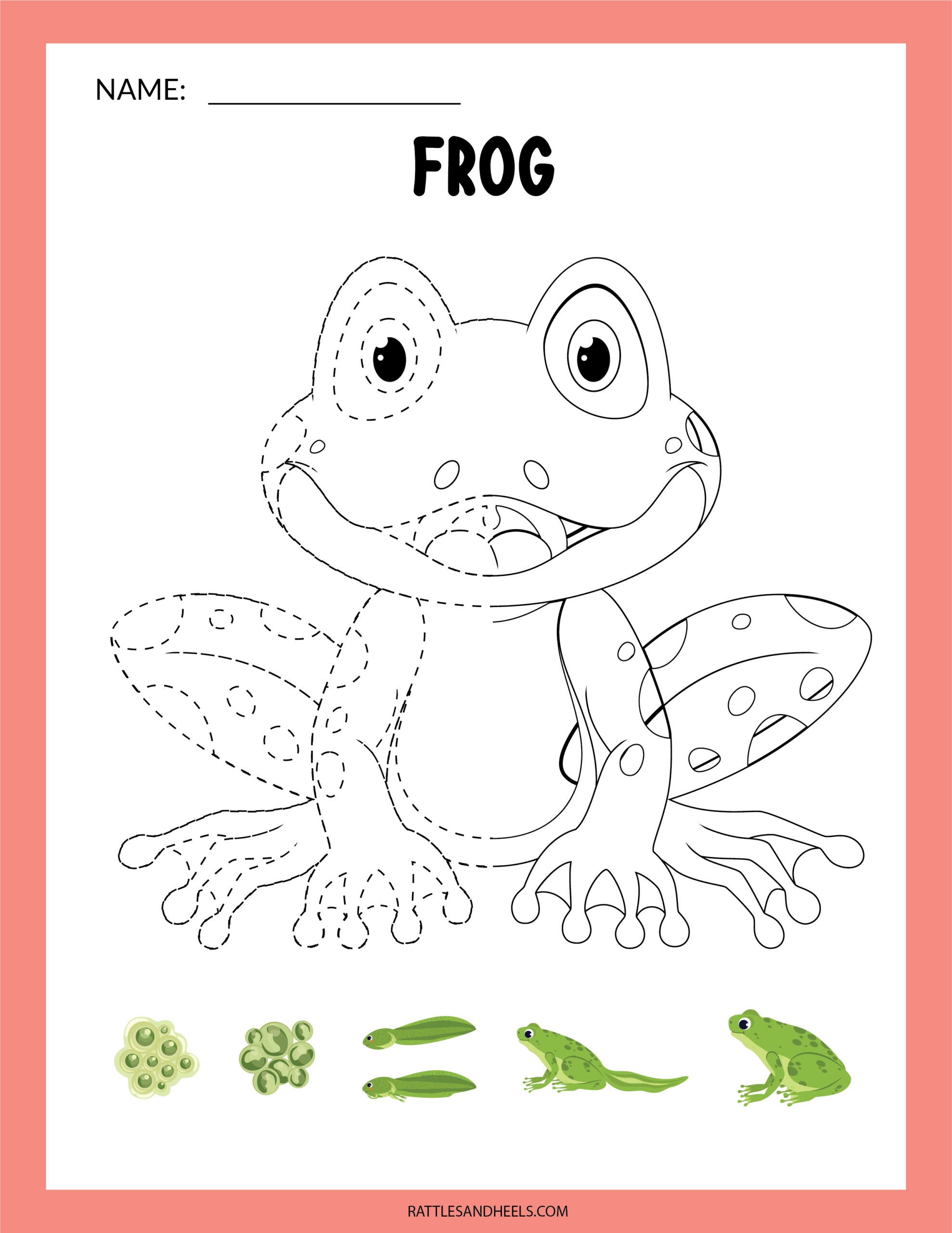 Amphibians Worksheets For Kids Free Printables Adanna Dill