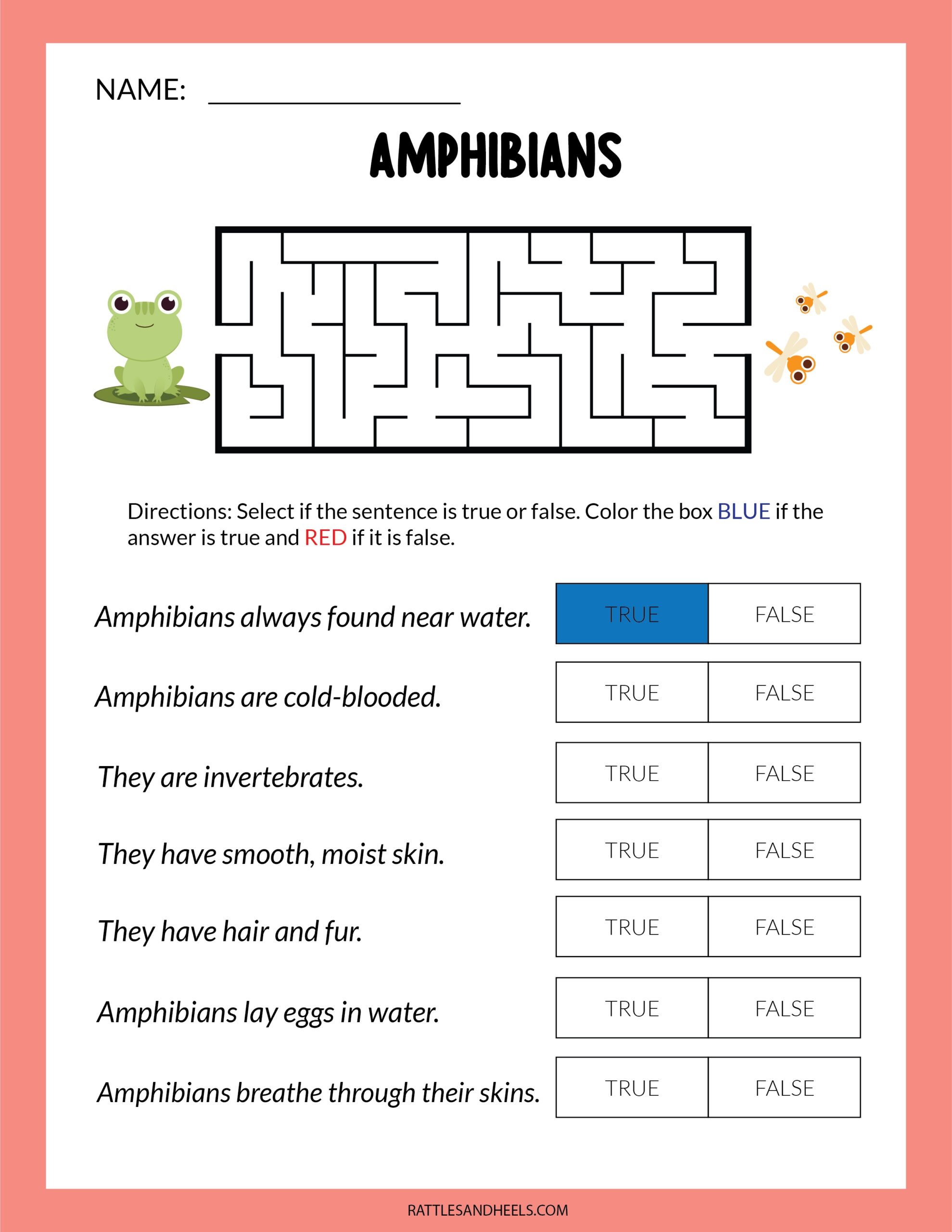 Amphibians Worksheets For Kids Free Printables Adanna Dill