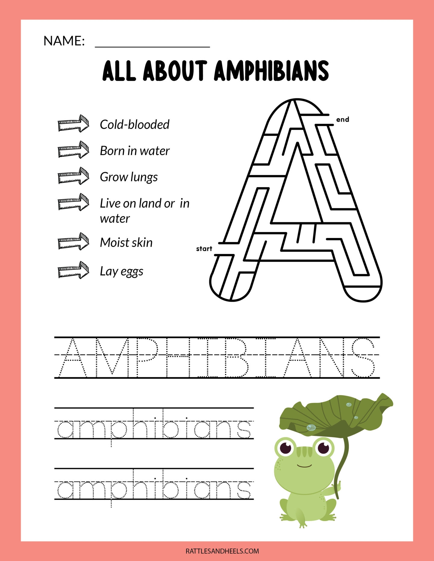 Amphibians Worksheets For Kids Free Printables Adanna Dill