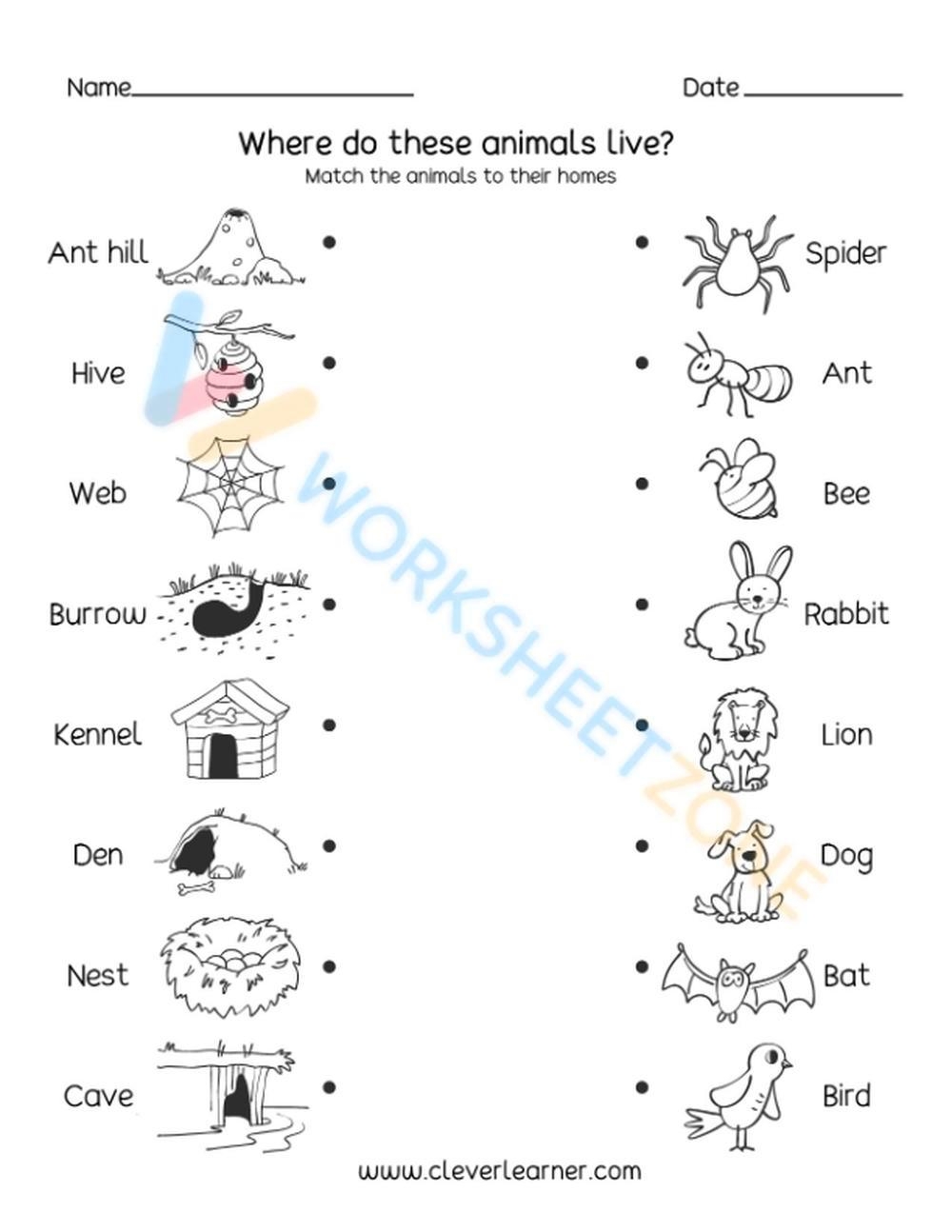 Free Printable Worksheets Animal Adaptations