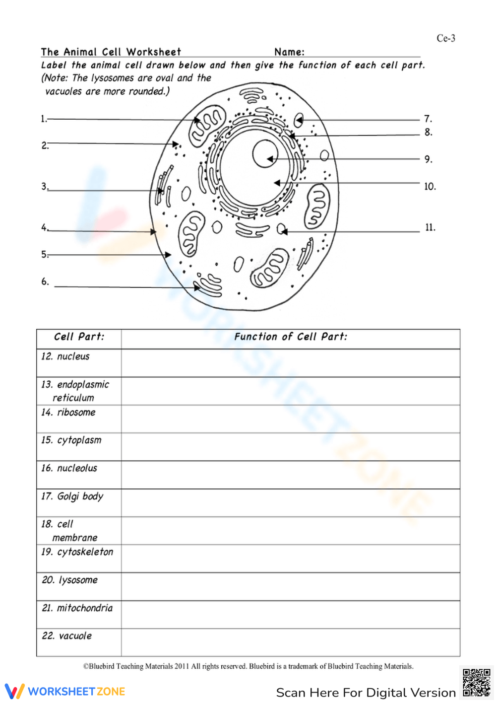 Animal Cell Worksheets 2025 Animal Cell Worksheets 2025