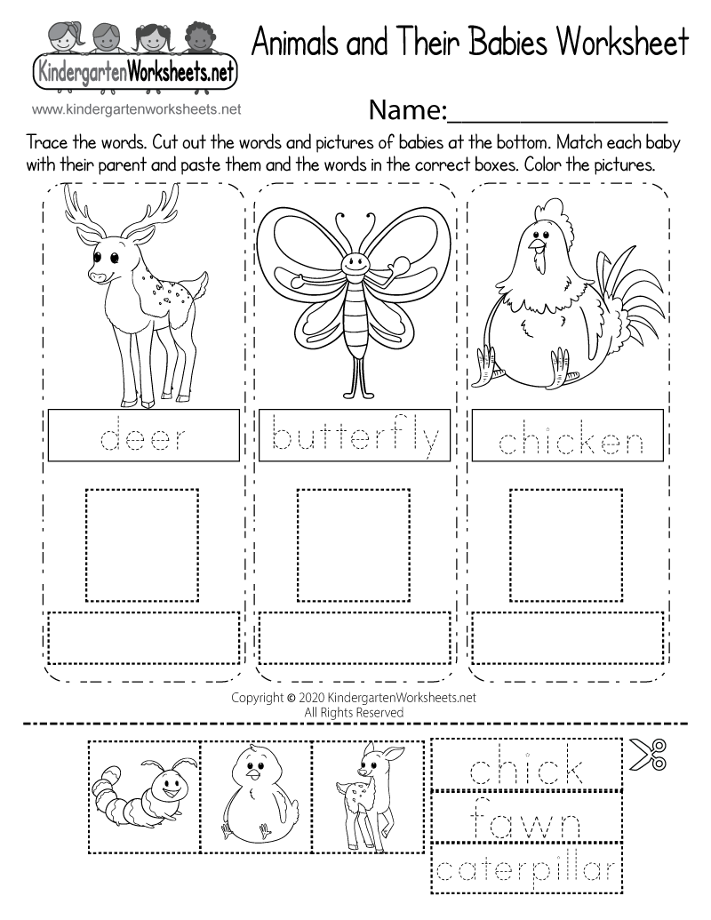 Animals And Their Babies Worksheet Free Printable Digital U0026 PDF Animals And Their Babies Worksheet Free Printable Digital U0026 PDF