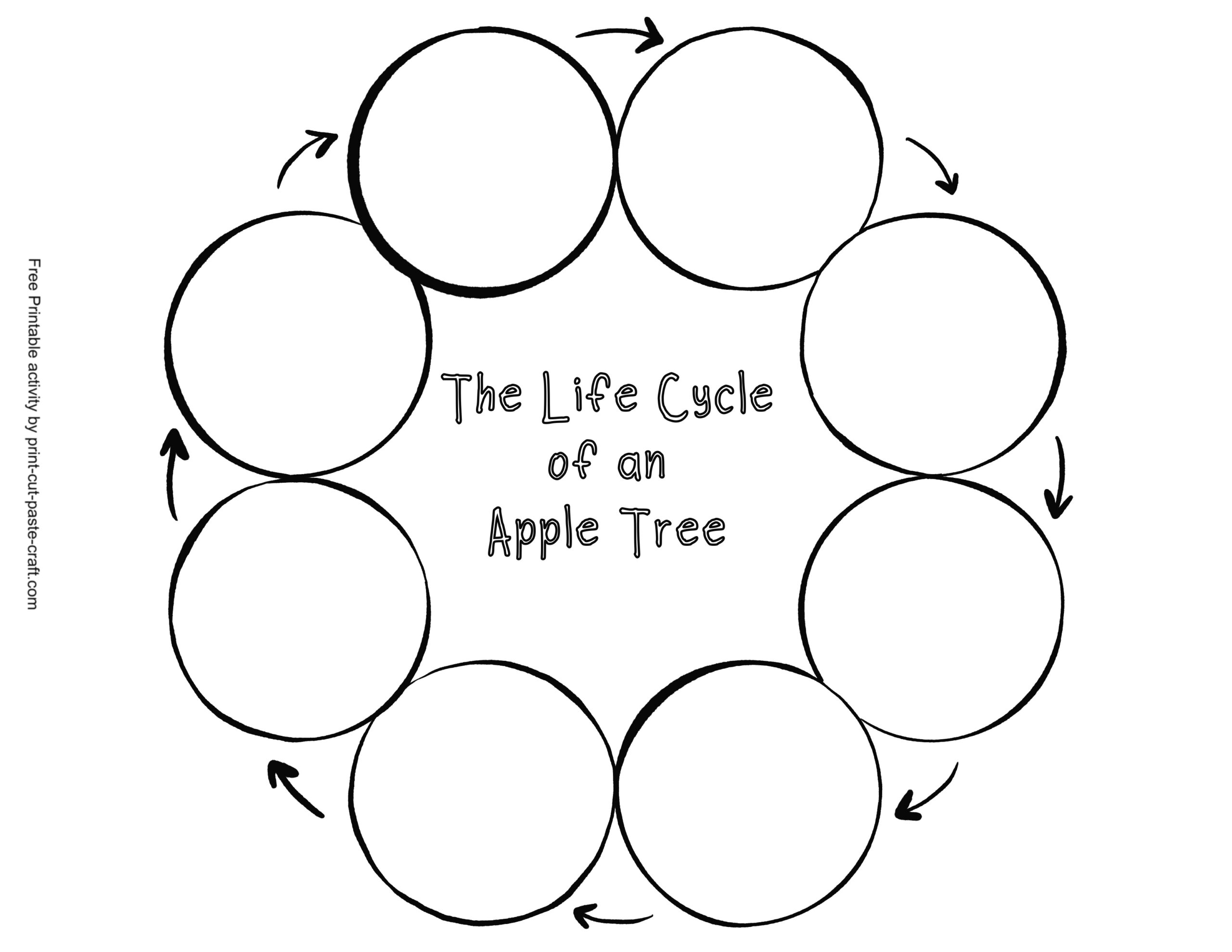 Apple Tree Life Cycle Free Printable Learning Activity Print Cut Paste Craft 