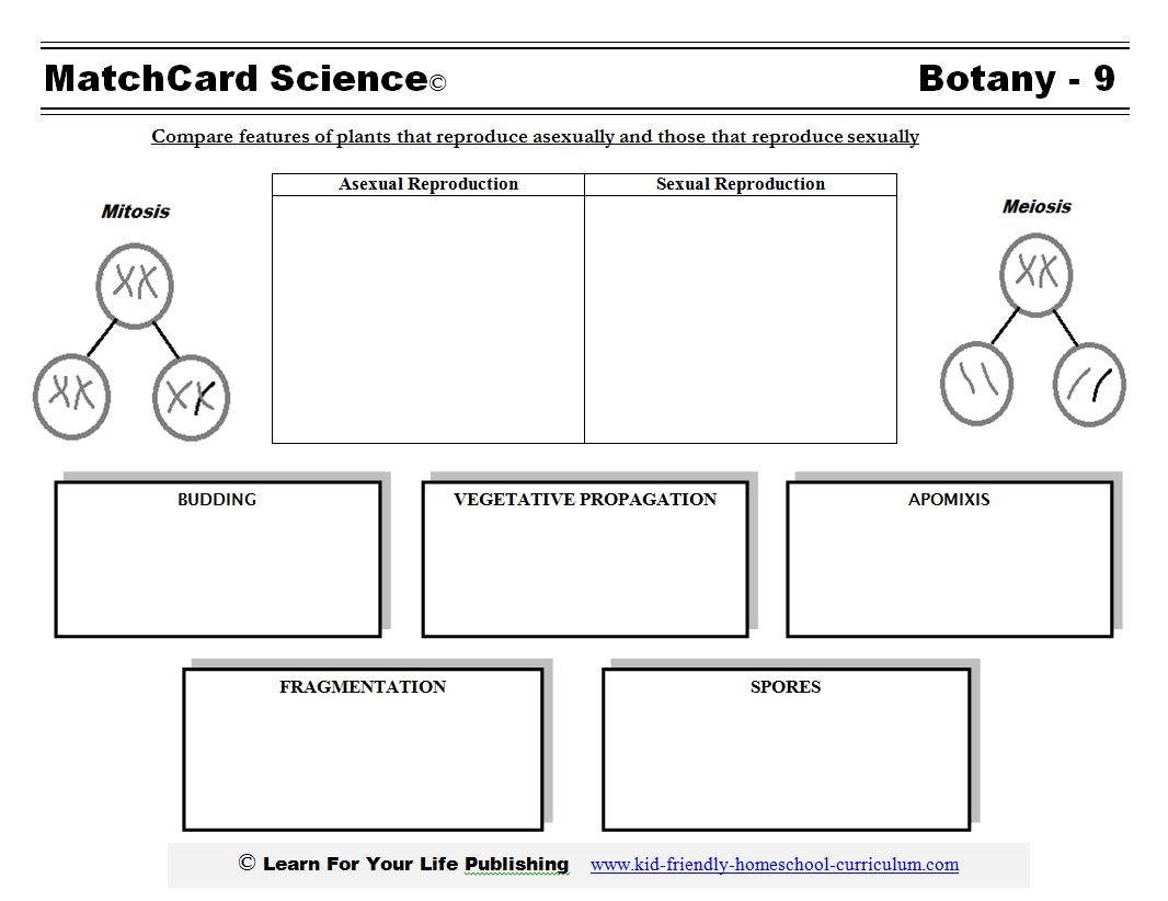 Asexual Reproduction In Plants Worksheets Library Asexual Reproduction In Plants Worksheets Library