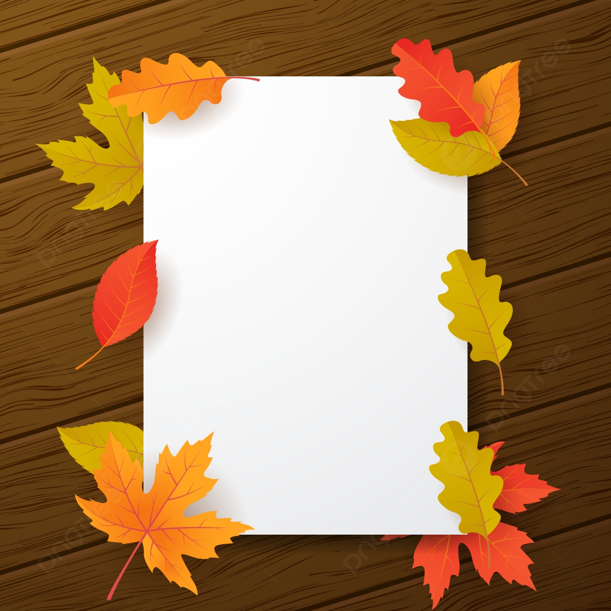 Autumn Backround With Blank Paper And Fall Leaves Vector Illustration Background Wallpaper Abstract Advertising Background Image And Wallpaper For Free Download