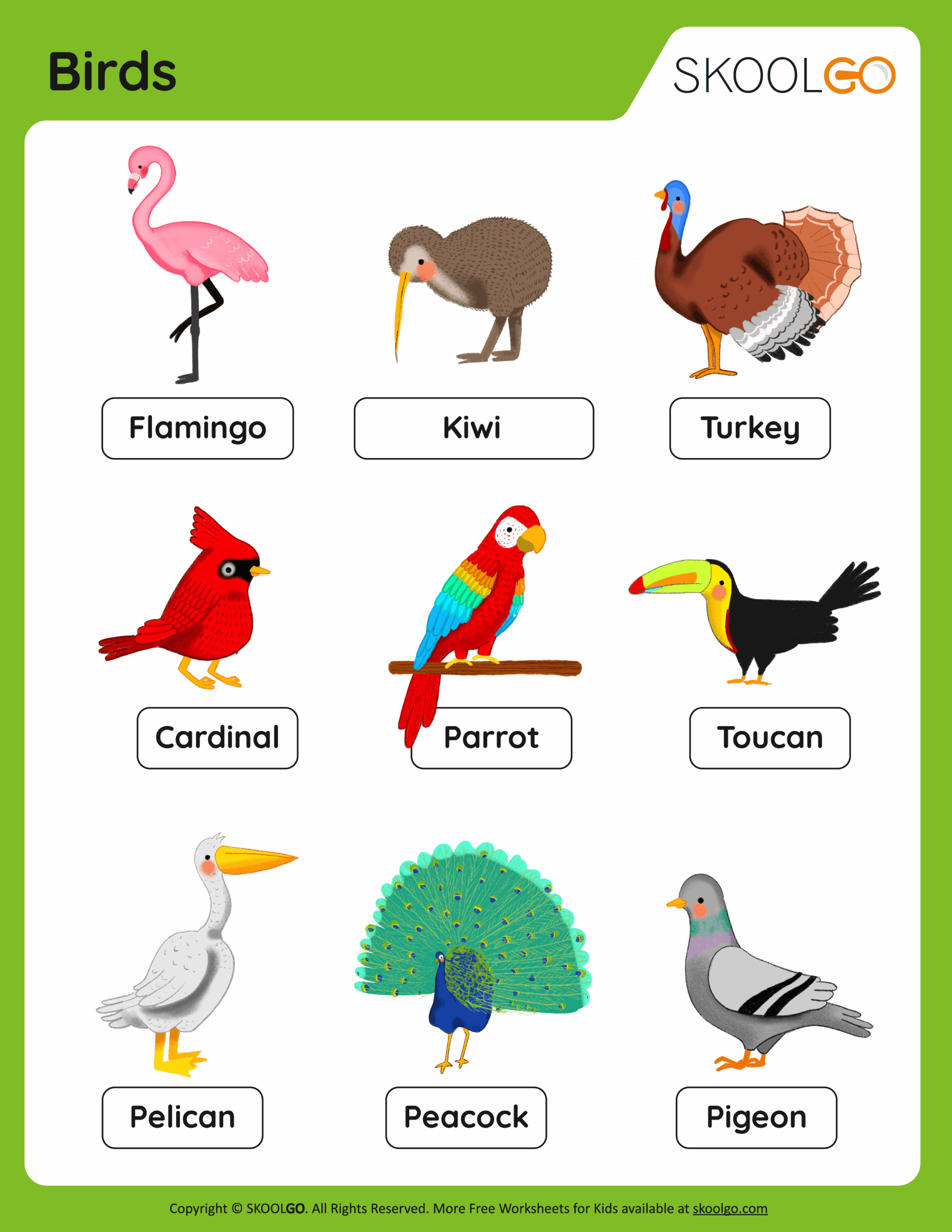 Free Printable Worksheets About Birds