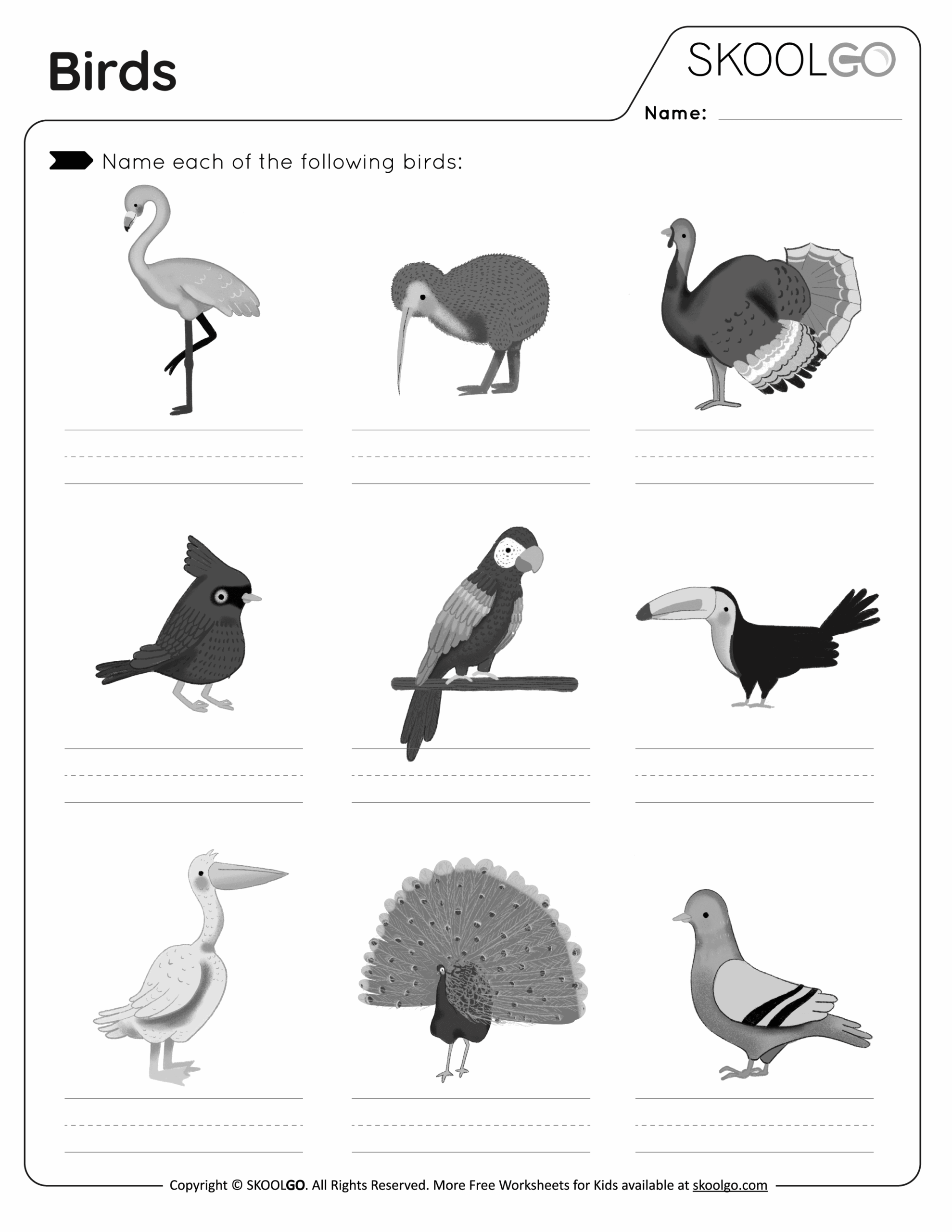 Birds Free Worksheet SKOOLGO