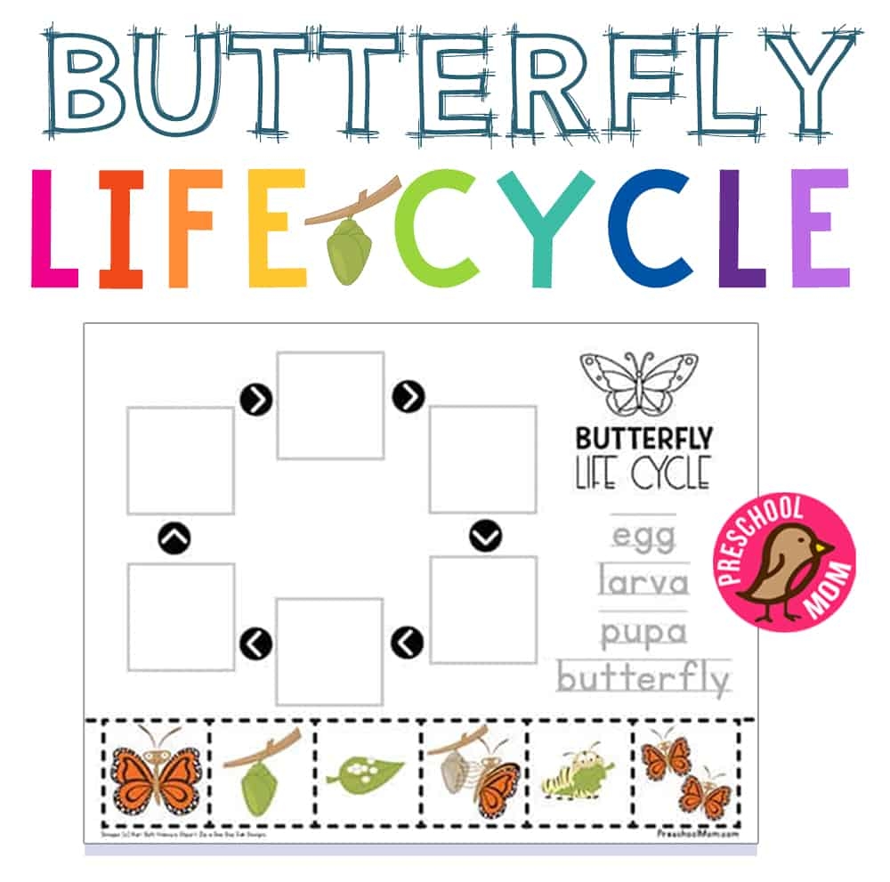 Butterfly Preschool Printables Preschool Mom