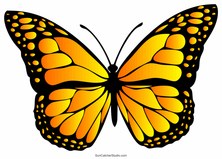 Butterfly SVG Files Printable Templates Patterns U0026 Clipart