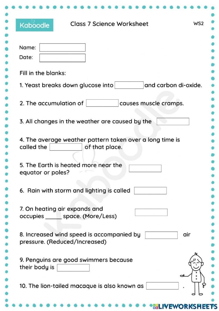 Class 7 Science Worksheet Mix 2 Worksheet Live Worksheets 