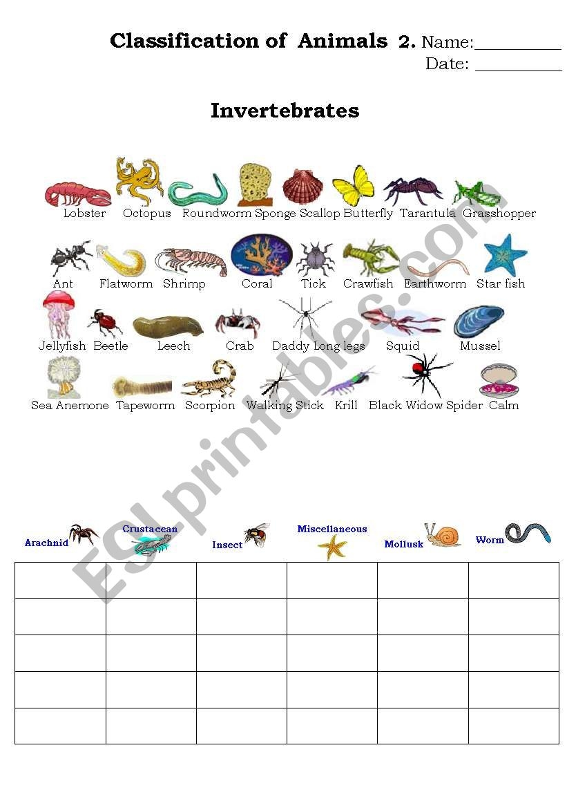 Classification Of Animals 2 ESL Worksheet By Beucici17 Worksheets Library