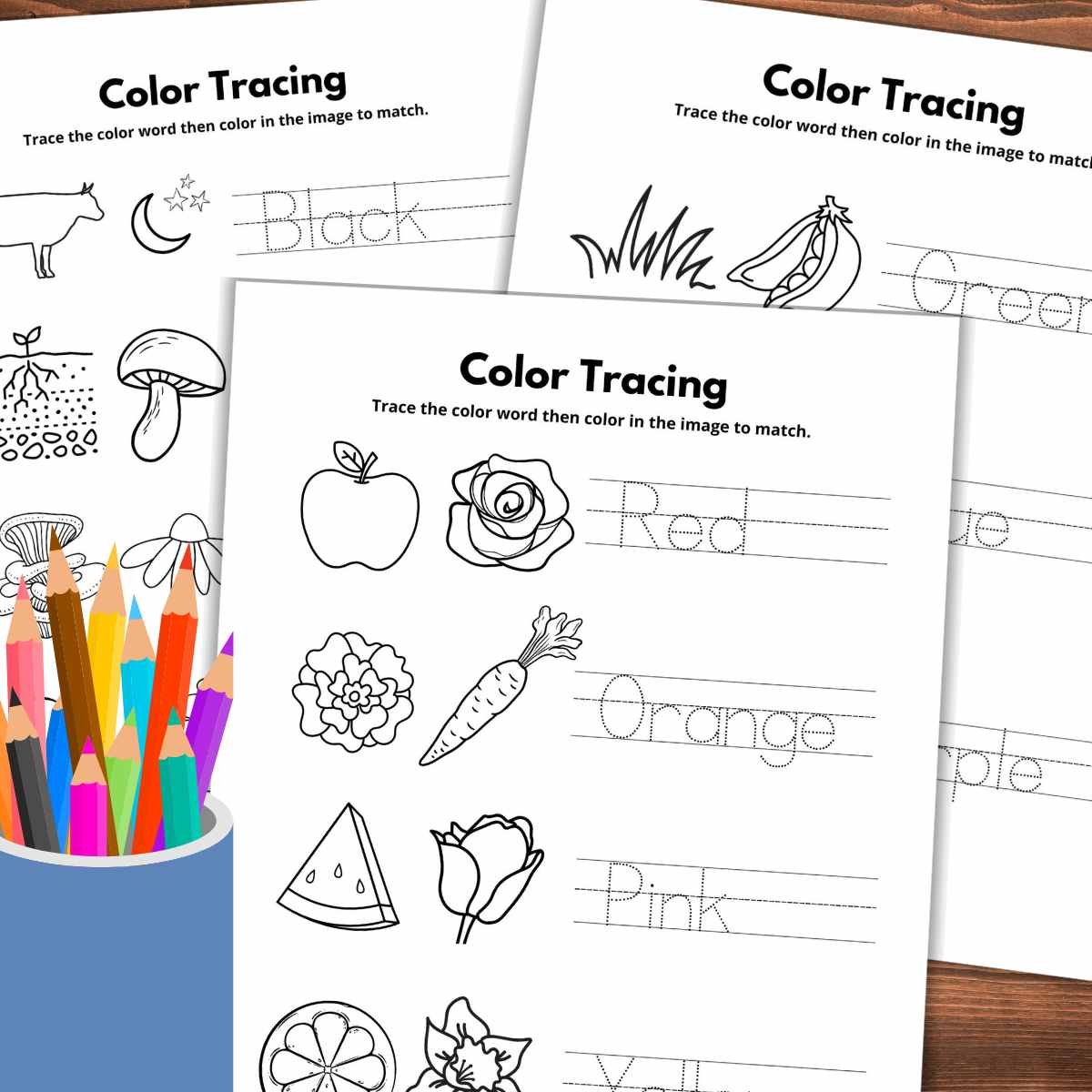 Color Tracing Worksheets Nature Inspired Learning