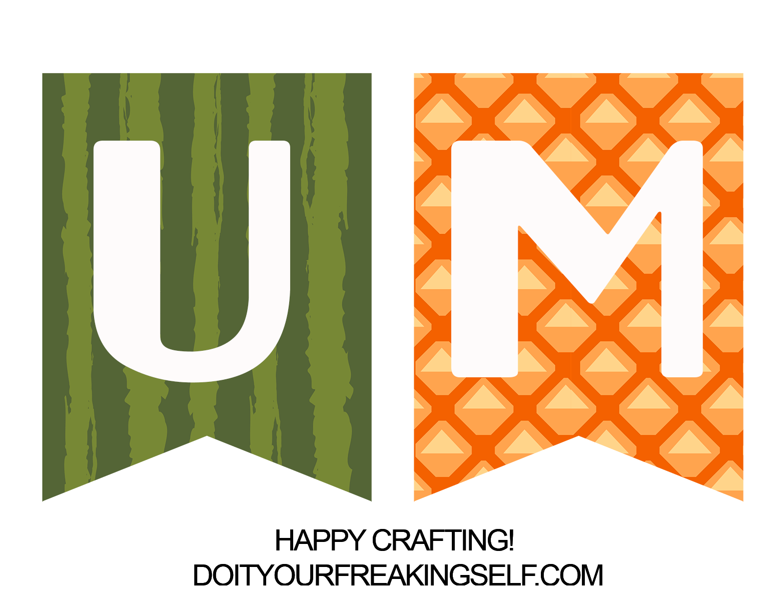 Do It Your Freaking Self Hello Summer Fruit Banner free 