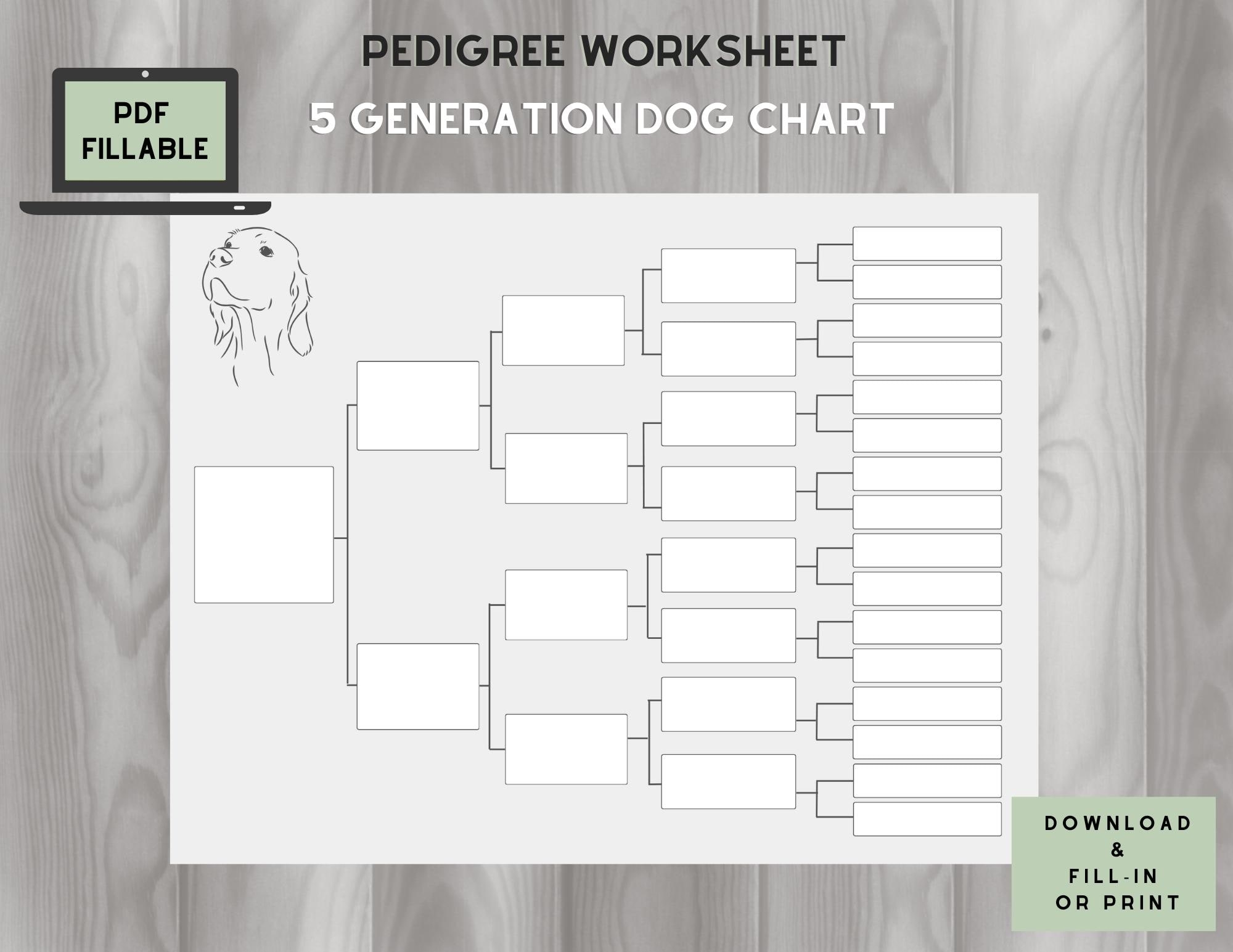 Dog Pedigree Chart 5 Generations On One Page Fillable PDF