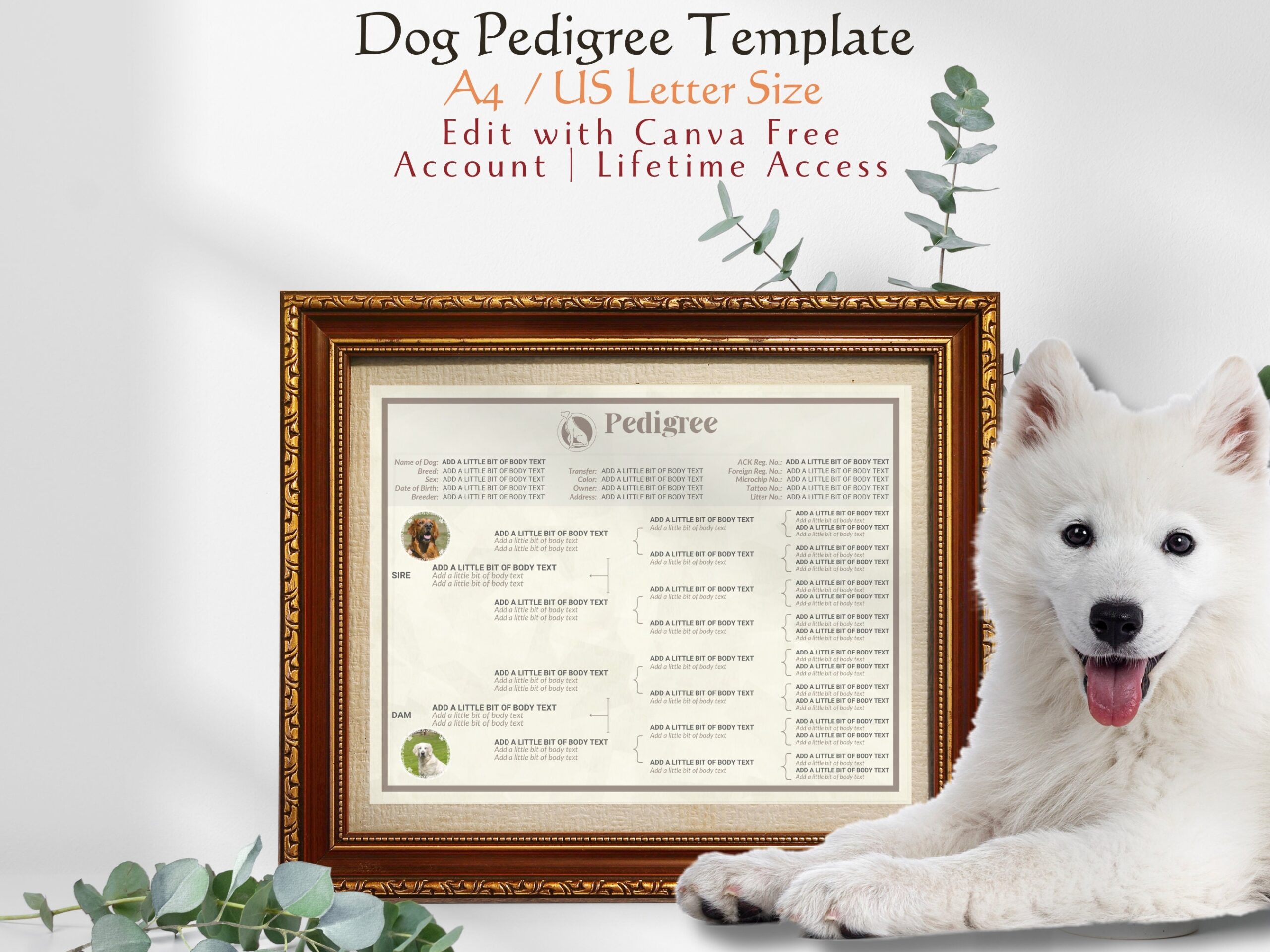 Dog Pedigree Template Editable Pedigree A4 US Letter Size Dog 