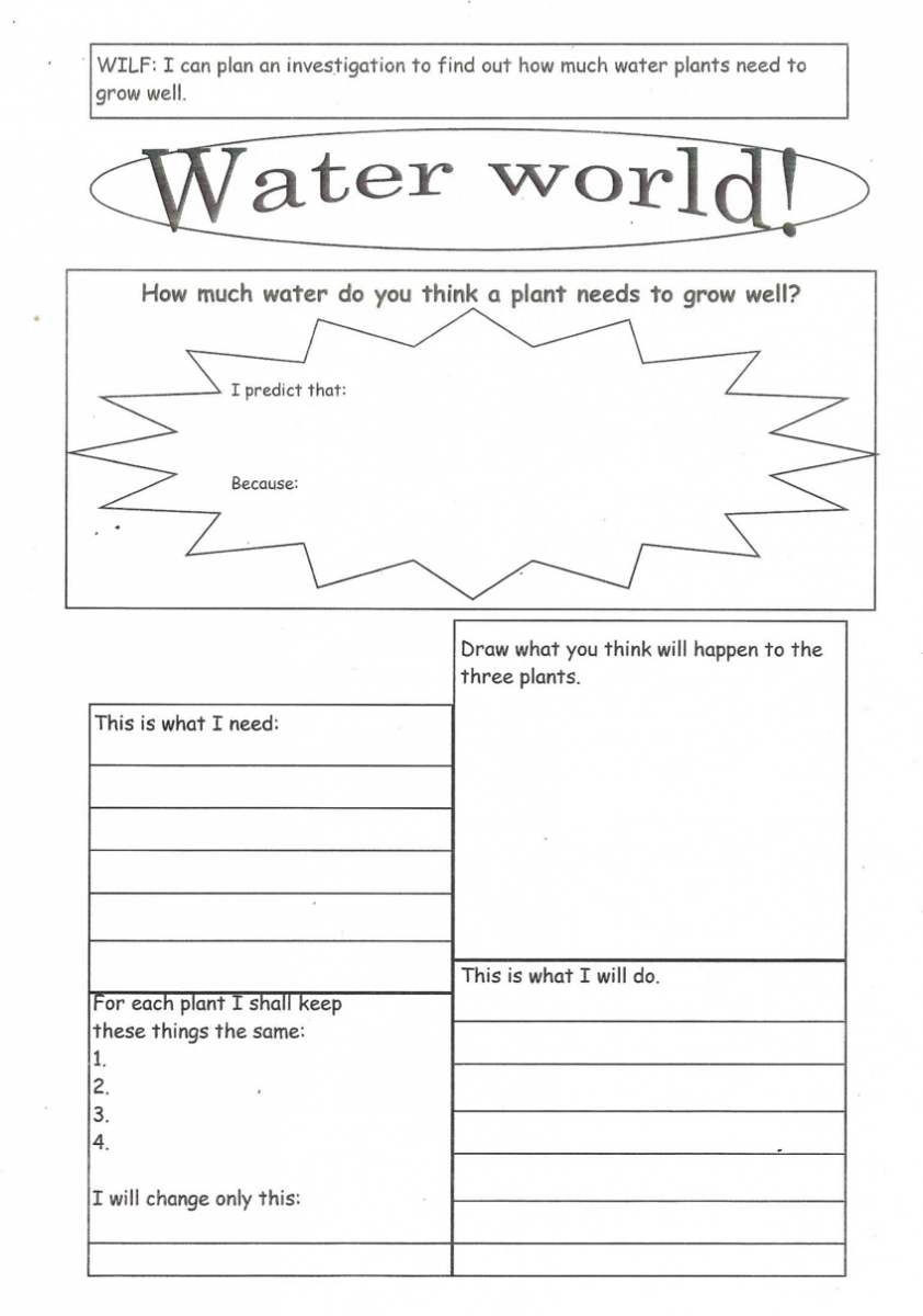 Enabling Access Tips For Adapting Worksheets For Students With Visual Impairments Paths To Literacy