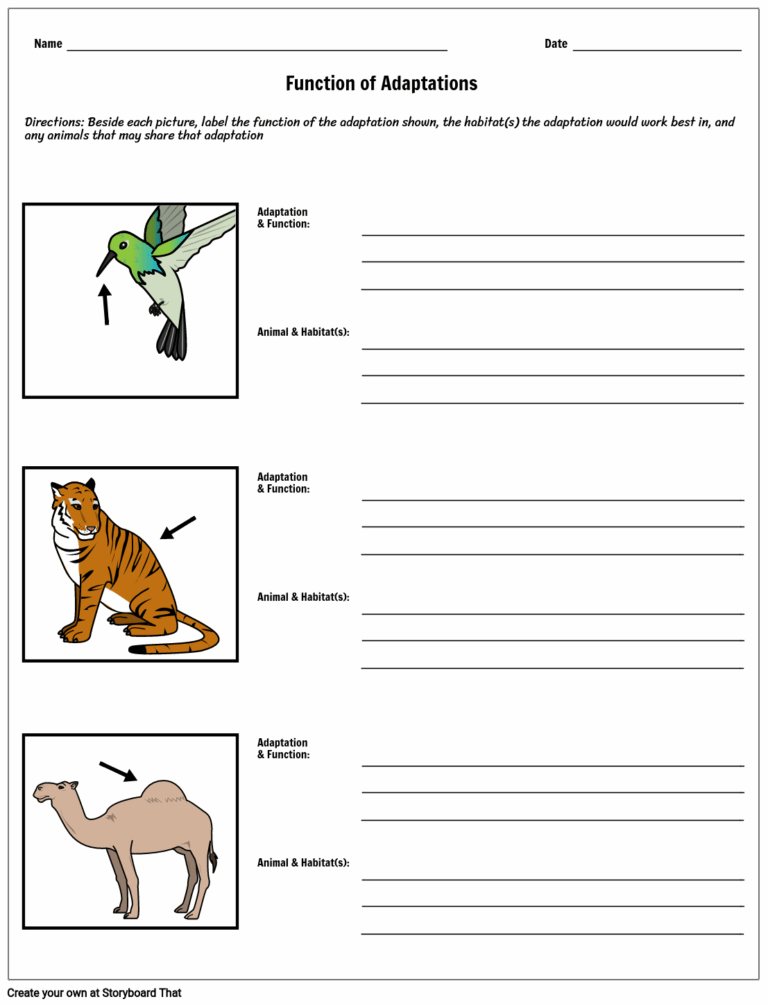 Explore Animal Adaptations Worksheets For Engaging Science Learning