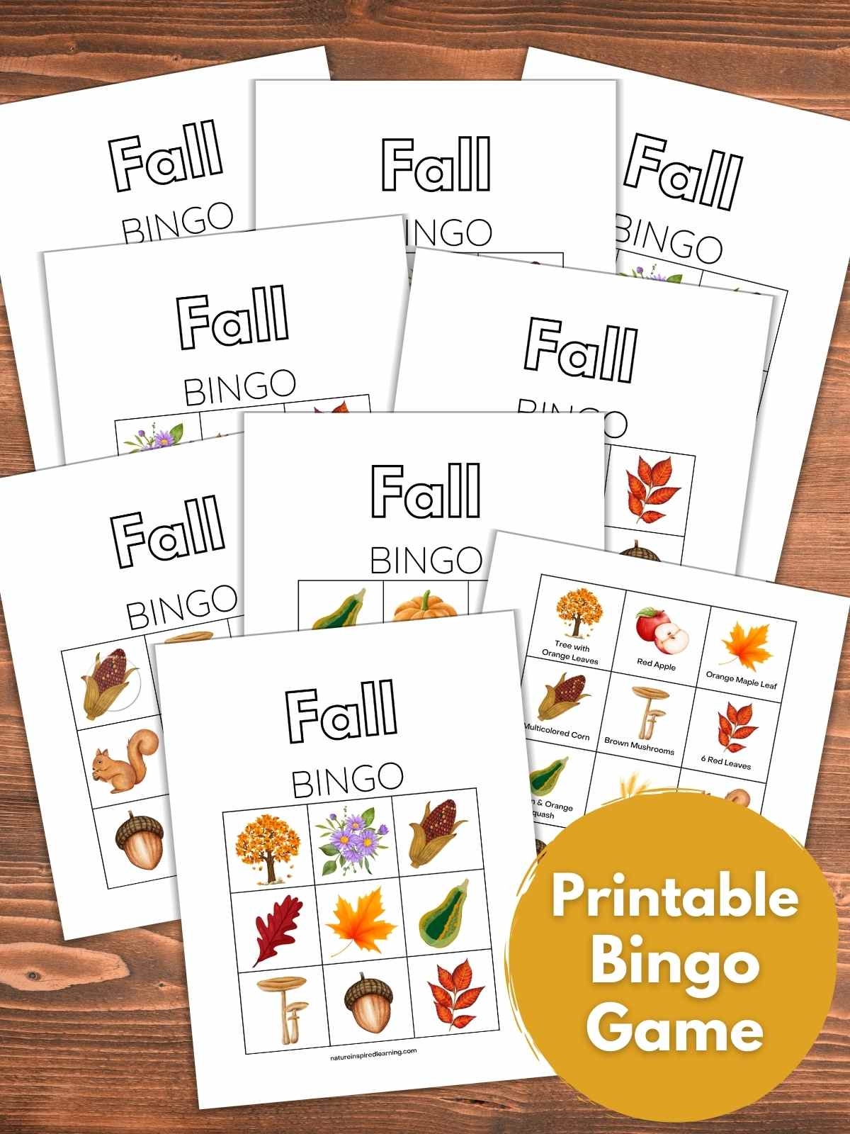 Fall Bingo Printable Nature Inspired Learning