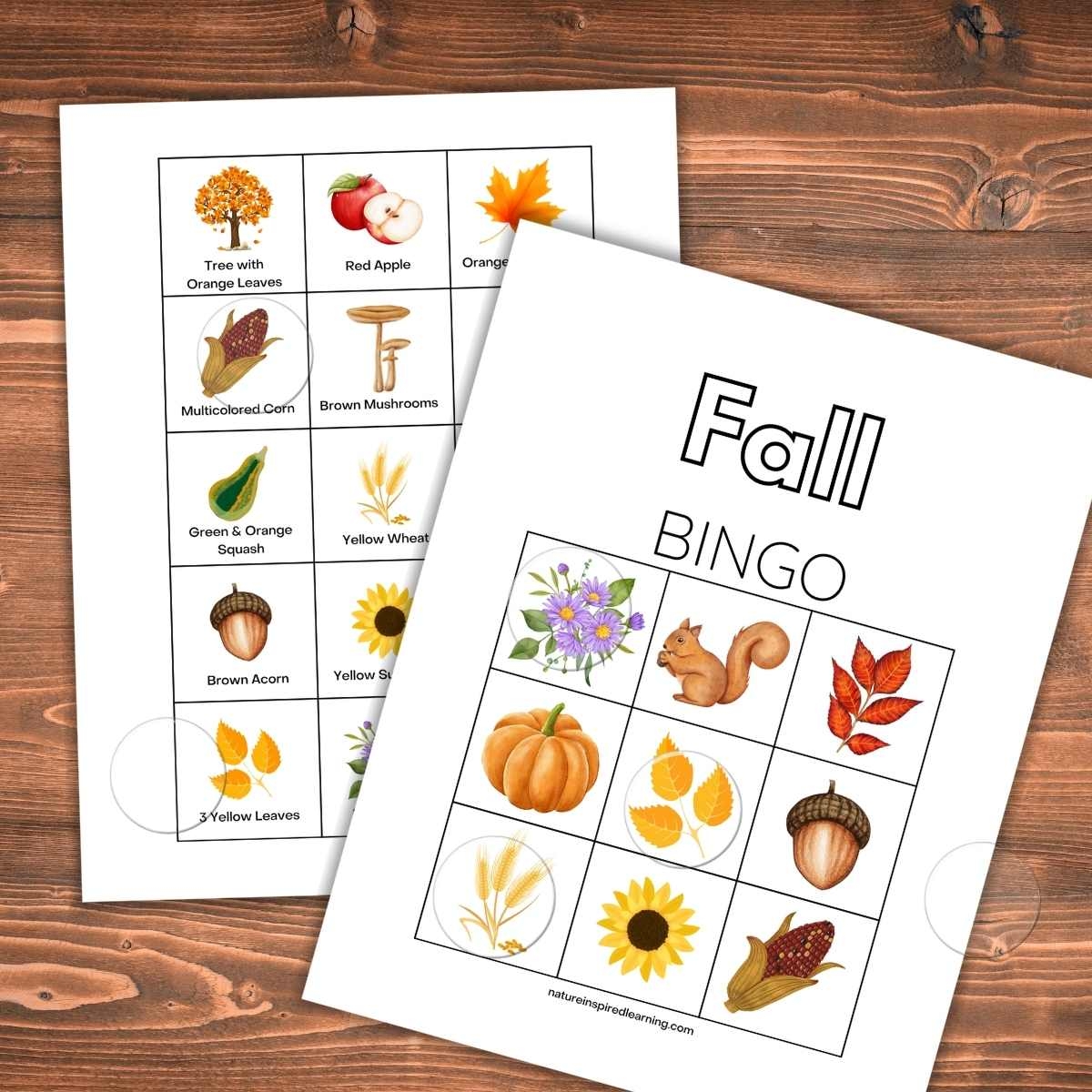 Fall Bingo Printable Nature Inspired Learning