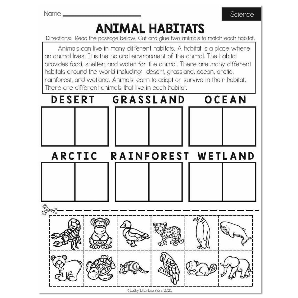 Fall Early Finishers 2nd Grade Science Animal Habitats Fall Early Finishers 2nd Grade Science Animal Habitats