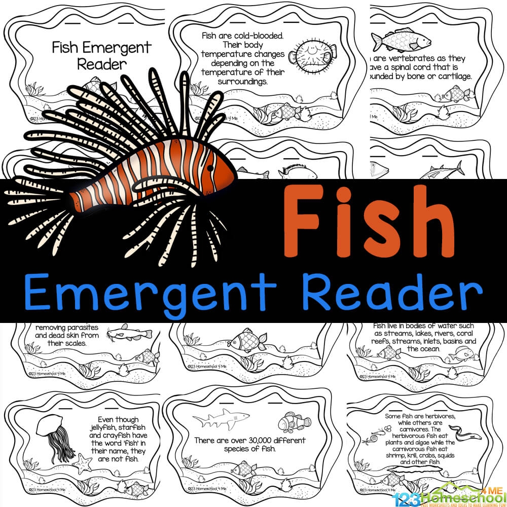  Fin tastic Fish Facts A Color U0026 Learn Reader For Kids 
