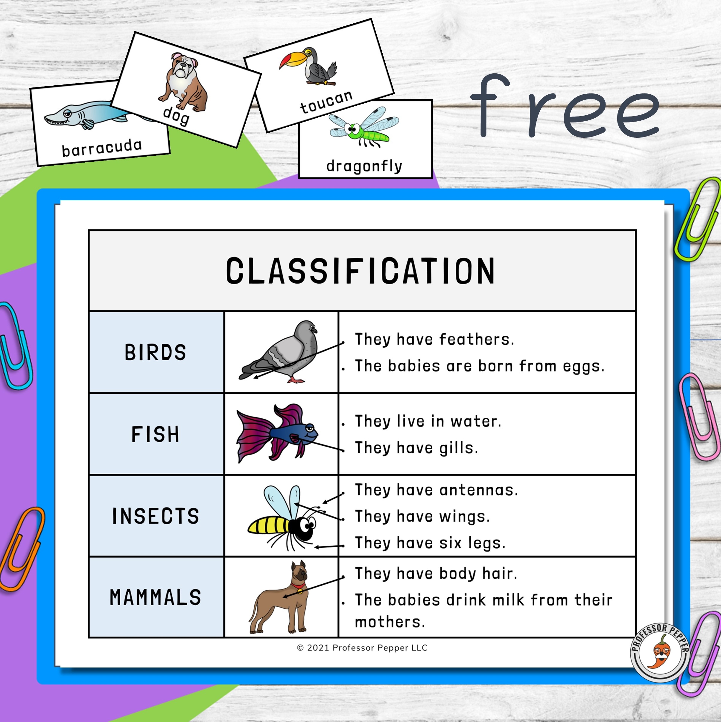 Free Printable Worksheets Animal Classification
