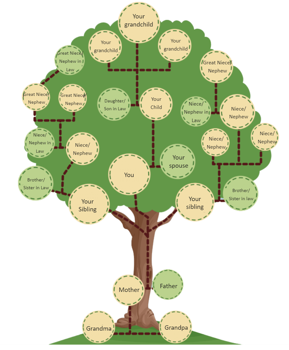 Free Editable Family Tree Examples EdrawMax Online