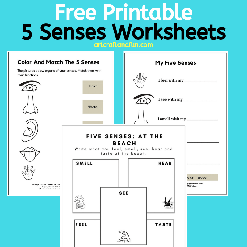 Free Printable 5 Senses Worksheets Worksheets Library