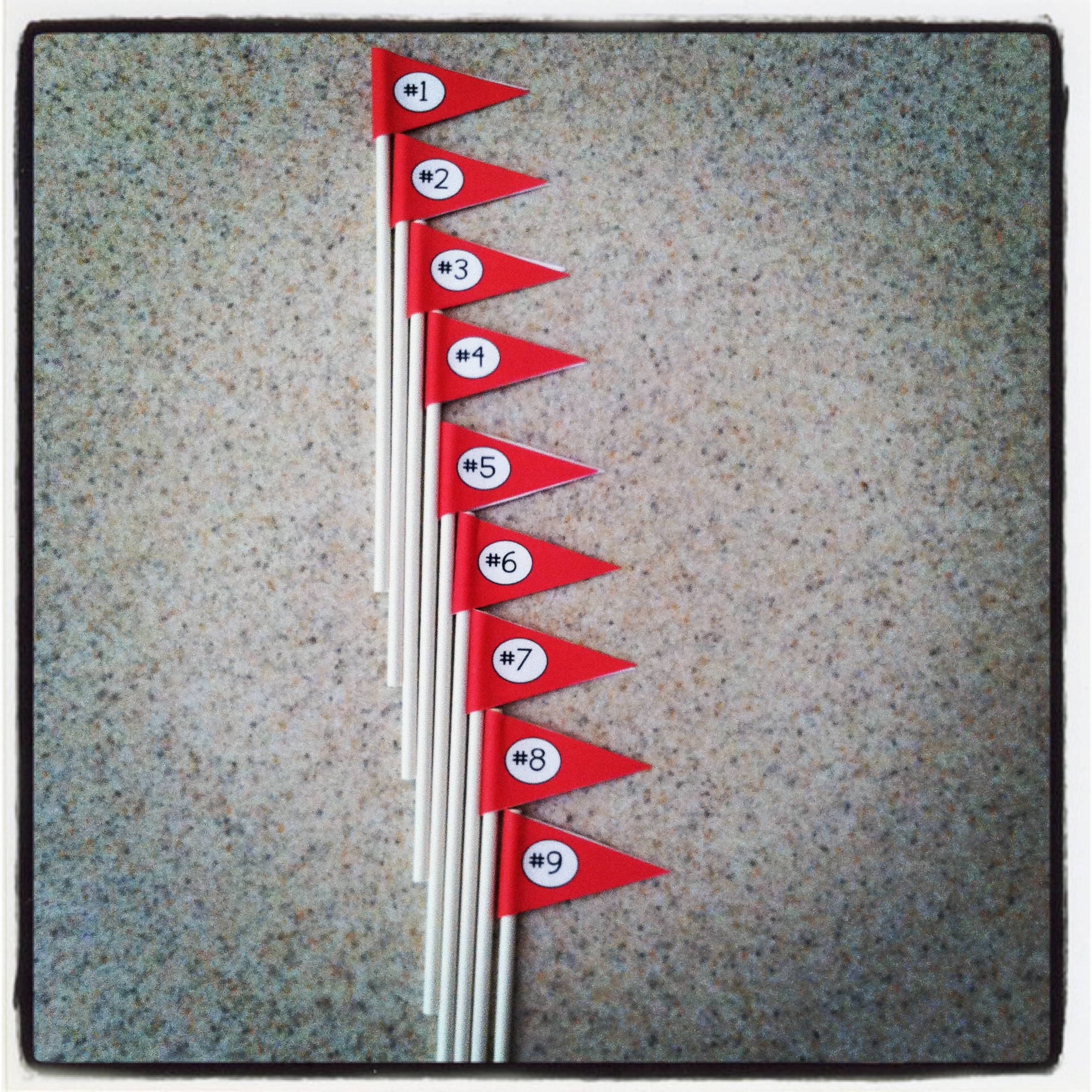 Free Printable Blank Cupcake Toppers Flags