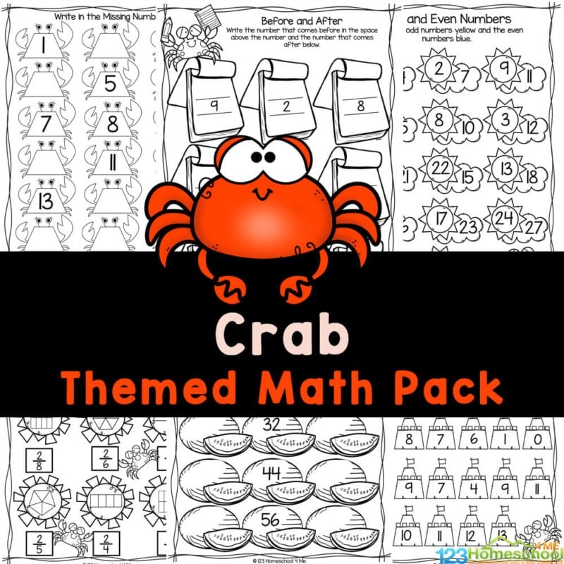  FREE Summer Crab Math Worksheets For Preschool And Kindergarten