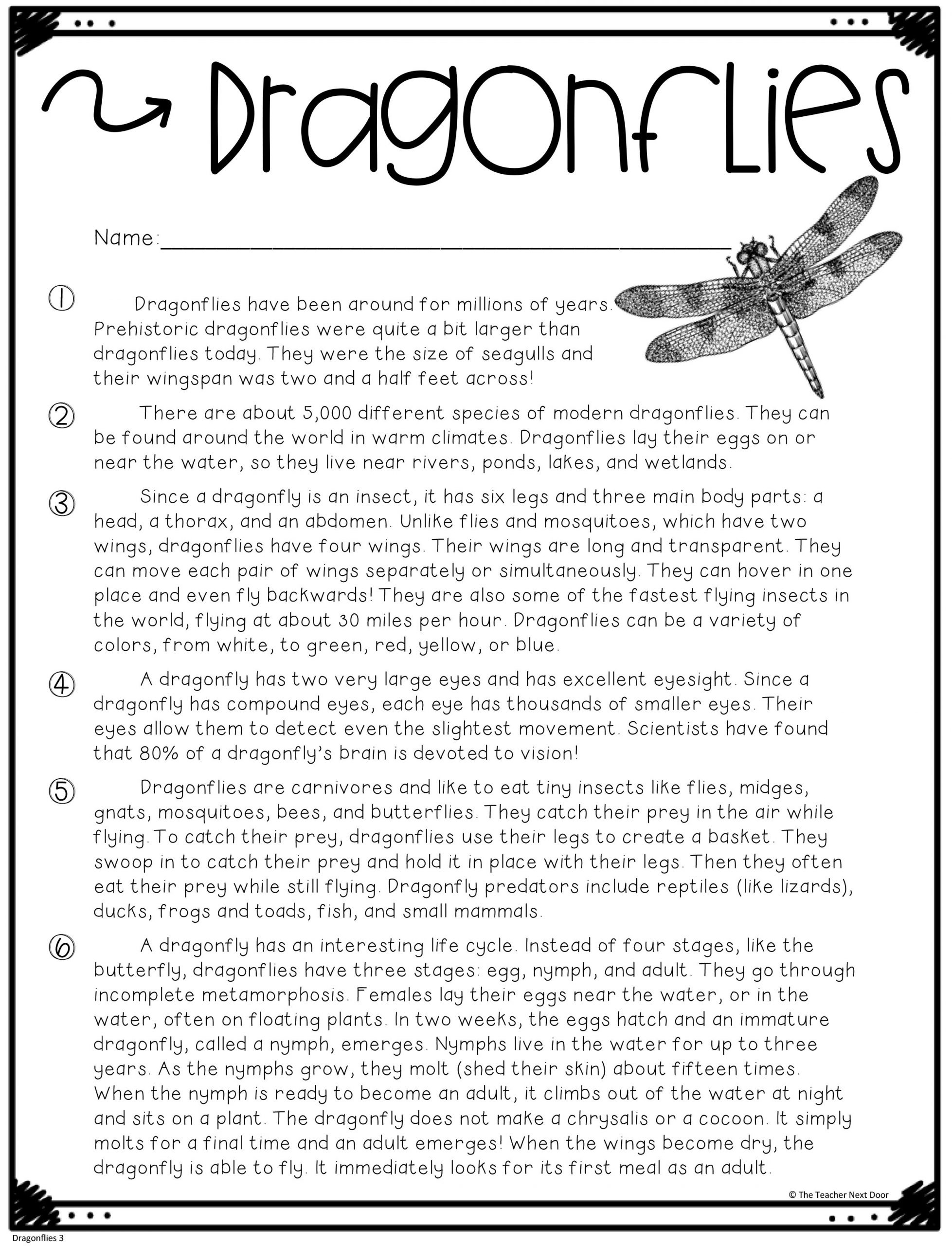 FREE Text Evidence Color Coding Passage Print And Digital The Teacher Next Door FREE Text Evidence Color Coding Passage Print And Digital The Teacher Next Door