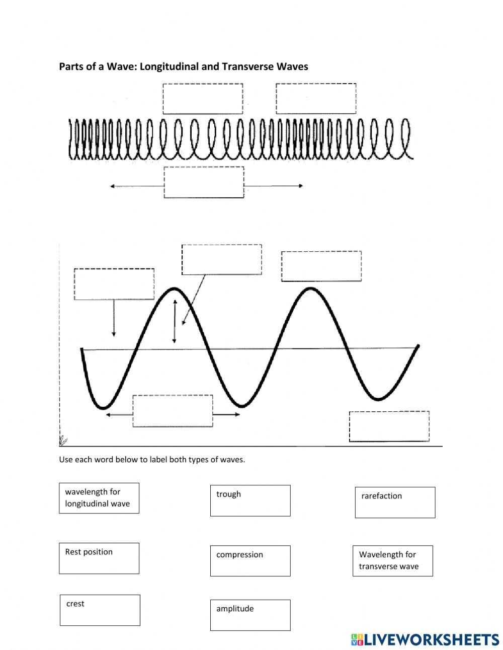 Free Transverse And Longitudinal Waves Worksheet Download Free Transverse And Longitudinal Waves Worksheet Png Images Free Worksheets On Clipart Library