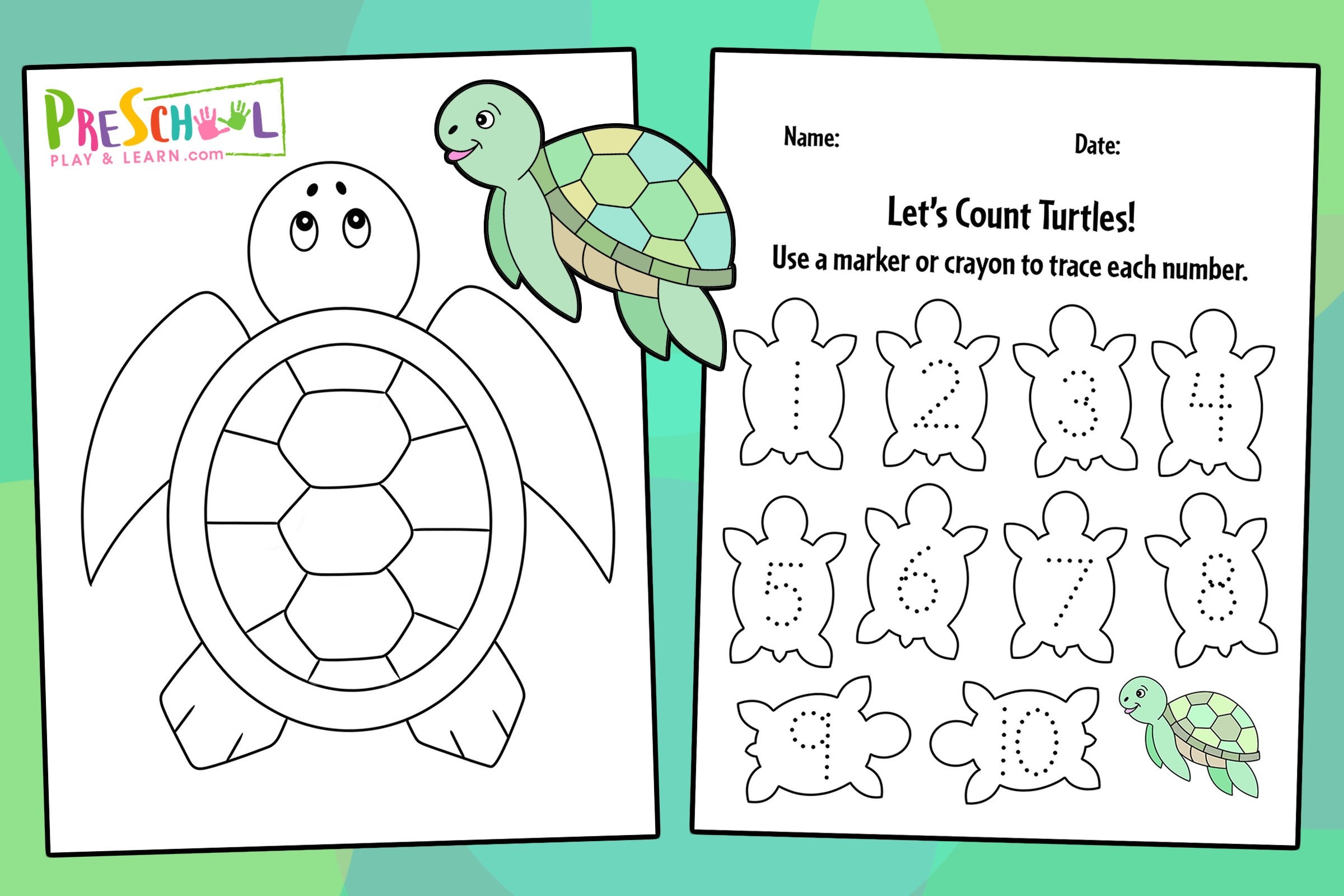 Free Turtle Worksheet Download Free Turtle Worksheet Png Images Free Worksheets On Clipart Library