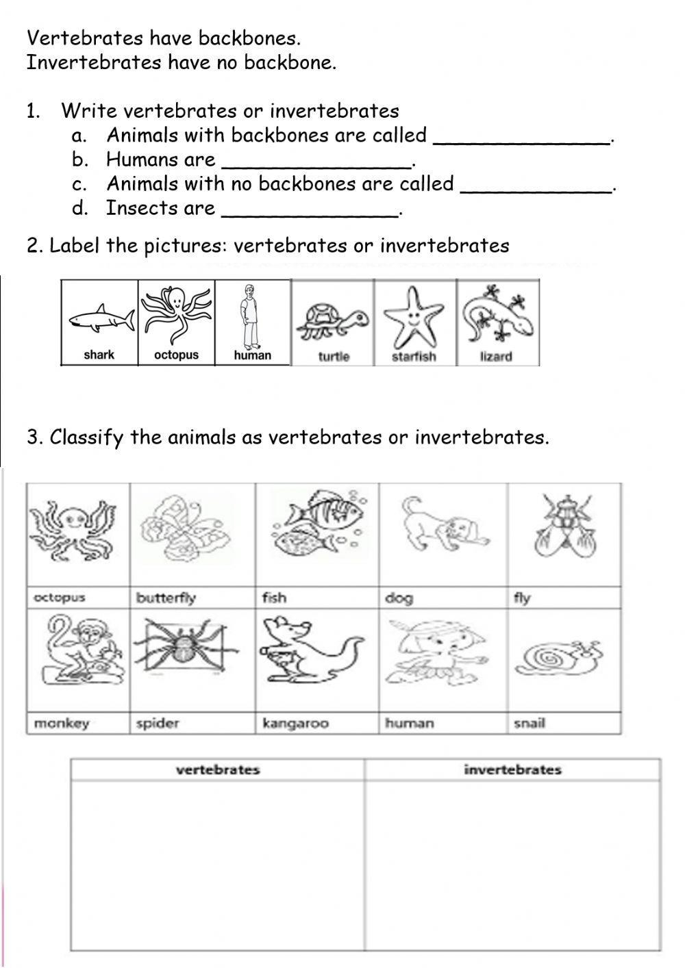Free Vertebrates Vs Invertebrates Worksheet Download Free Vertebrates Vs Invertebrates Worksheet Png Images Free Worksheets On Clipart Library