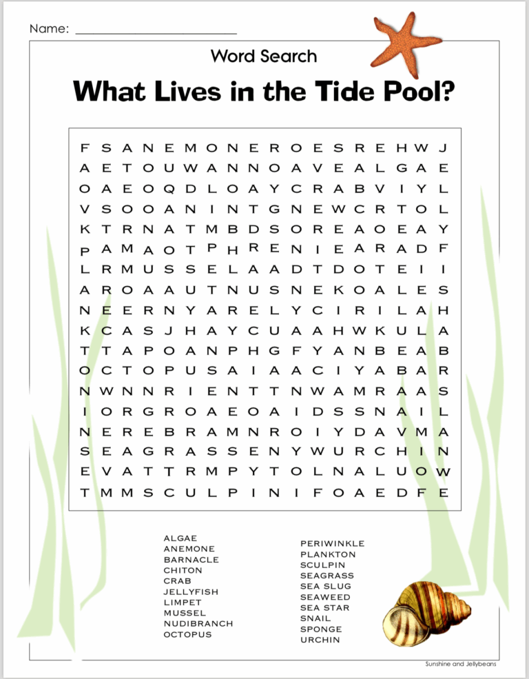 Freebie Word Search What Lives In The Tide Pool Grades 3 5 