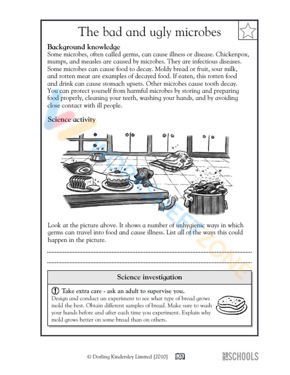 Grade 5 5th Grade Science Worksheets 2025