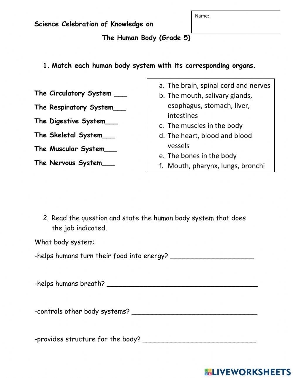 Grade 5 Human Body Celebration Of Knowledge Worksheet Live Worksheets Library