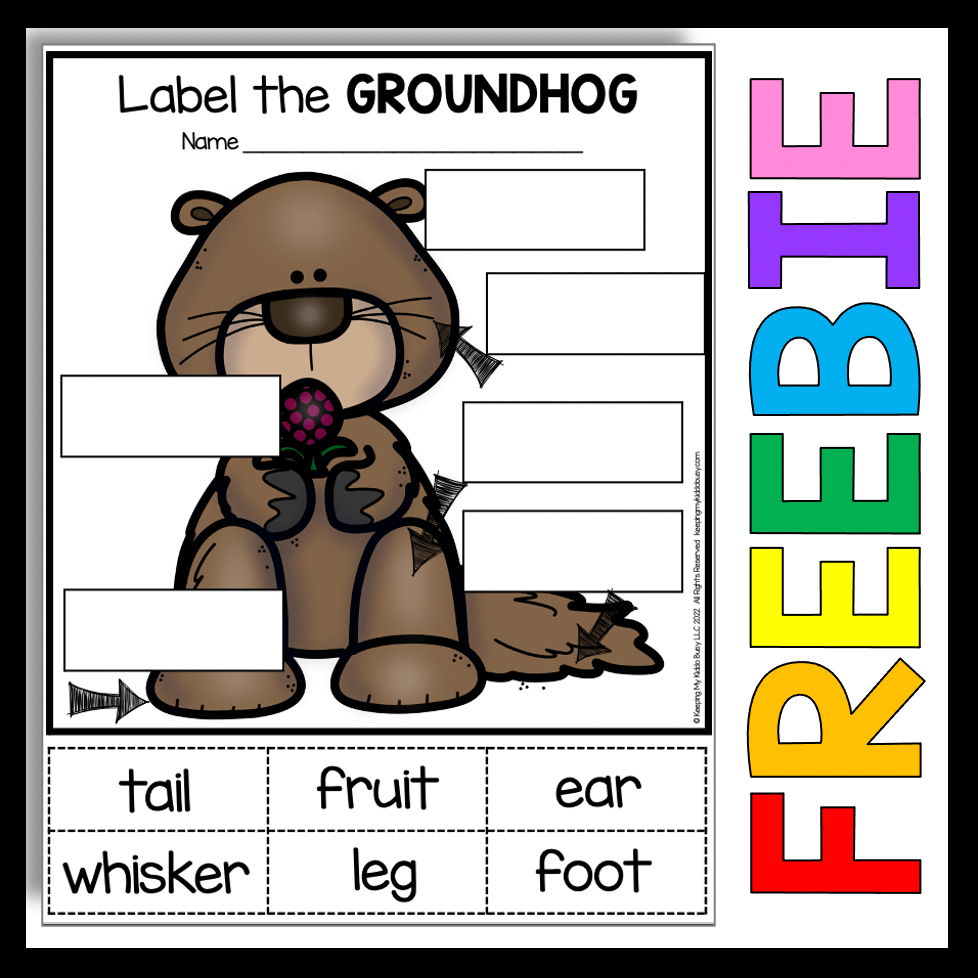 Groundhog Day In Kindergarten And First Grade FREEBIE Keeping My Groundhog Day In Kindergarten And First Grade FREEBIE Keeping My
