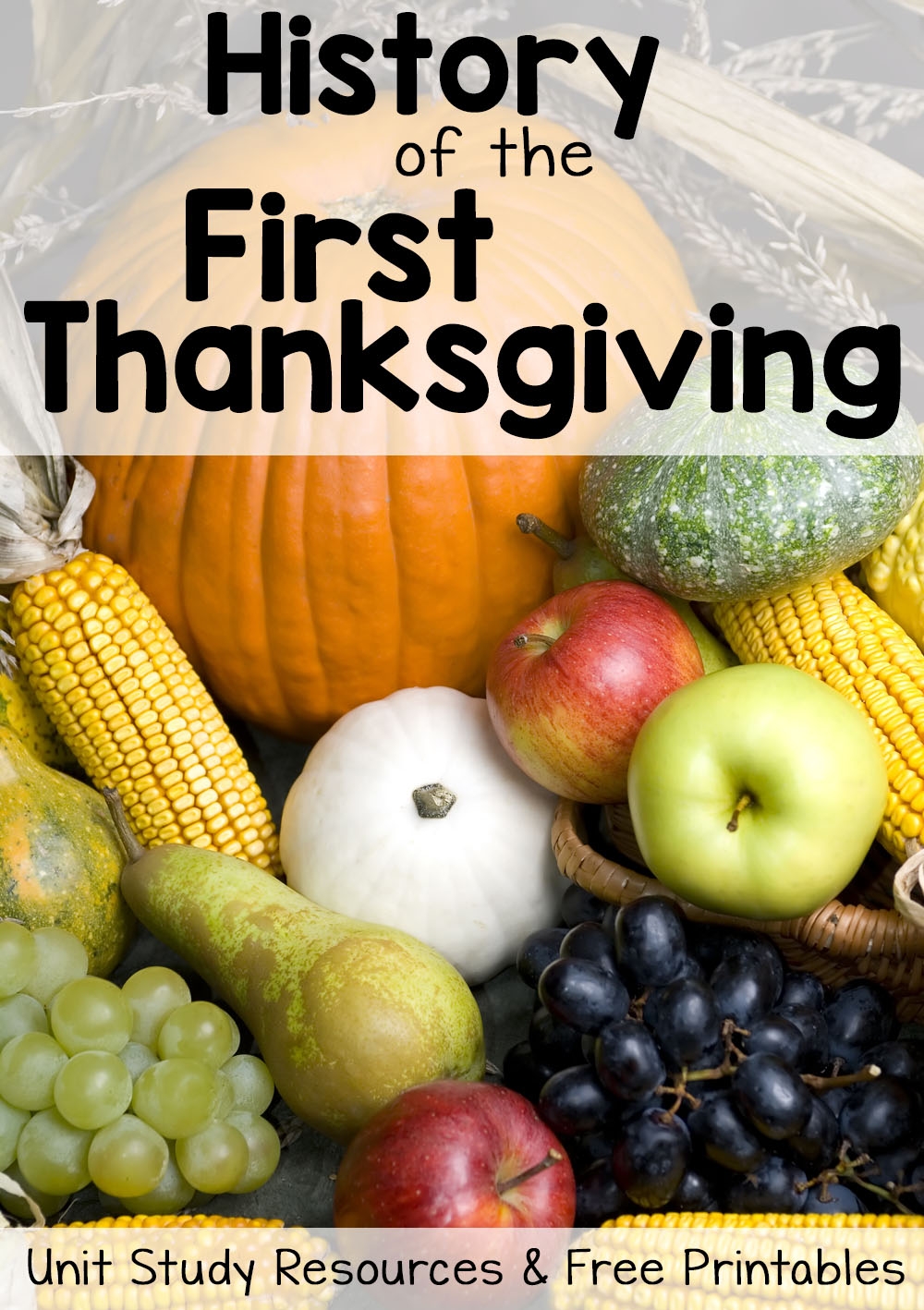 Free Printable Thanksgiving Comprehension Worksheets