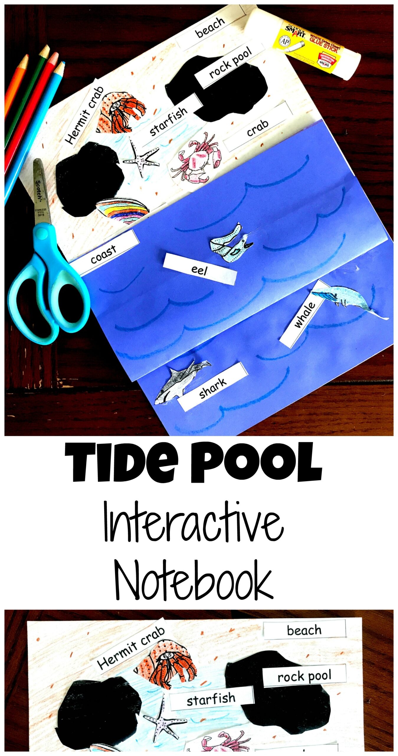 Interactive Tides Activity Printable Free K 2