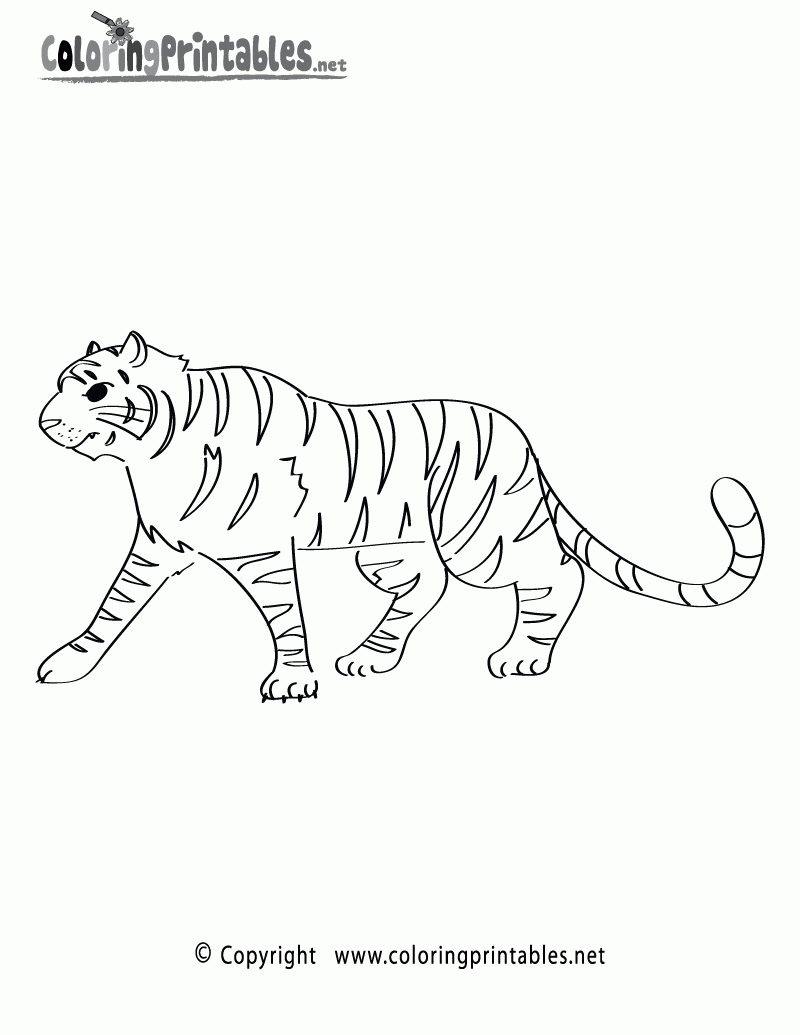 Free Printable Tiger Worksheets