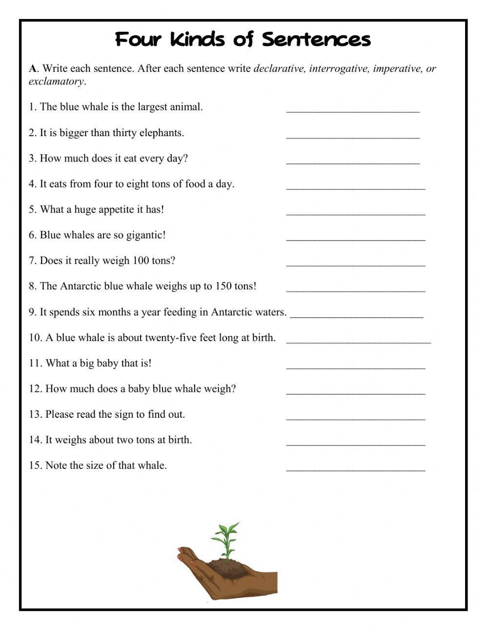 Kinds Of Sentences Free Printable Worksheets For Grade 2 Kidpid Worksheets Library